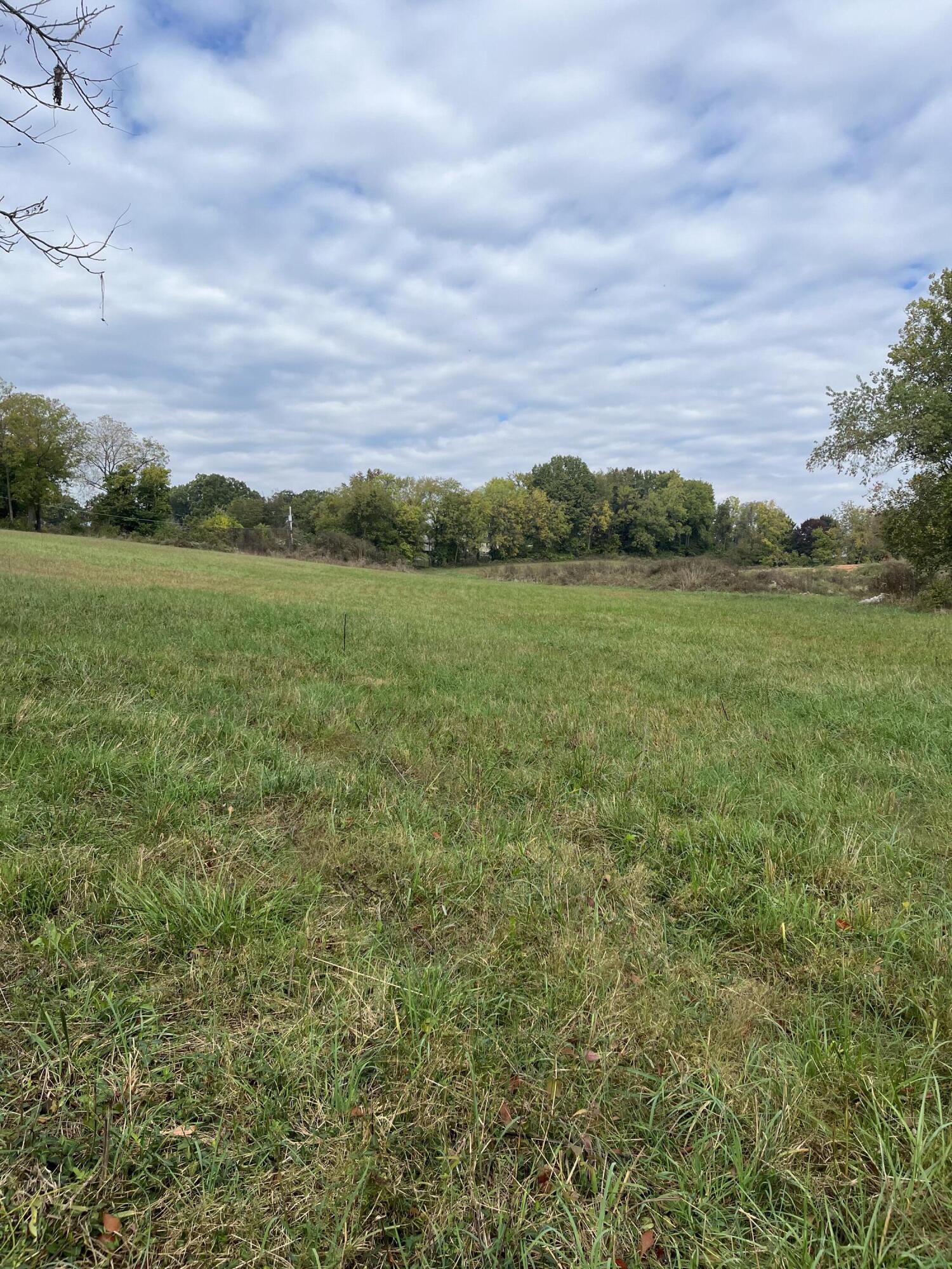 Photo 7 - Land for sale – 000  Luney Drive  Cassville, MO