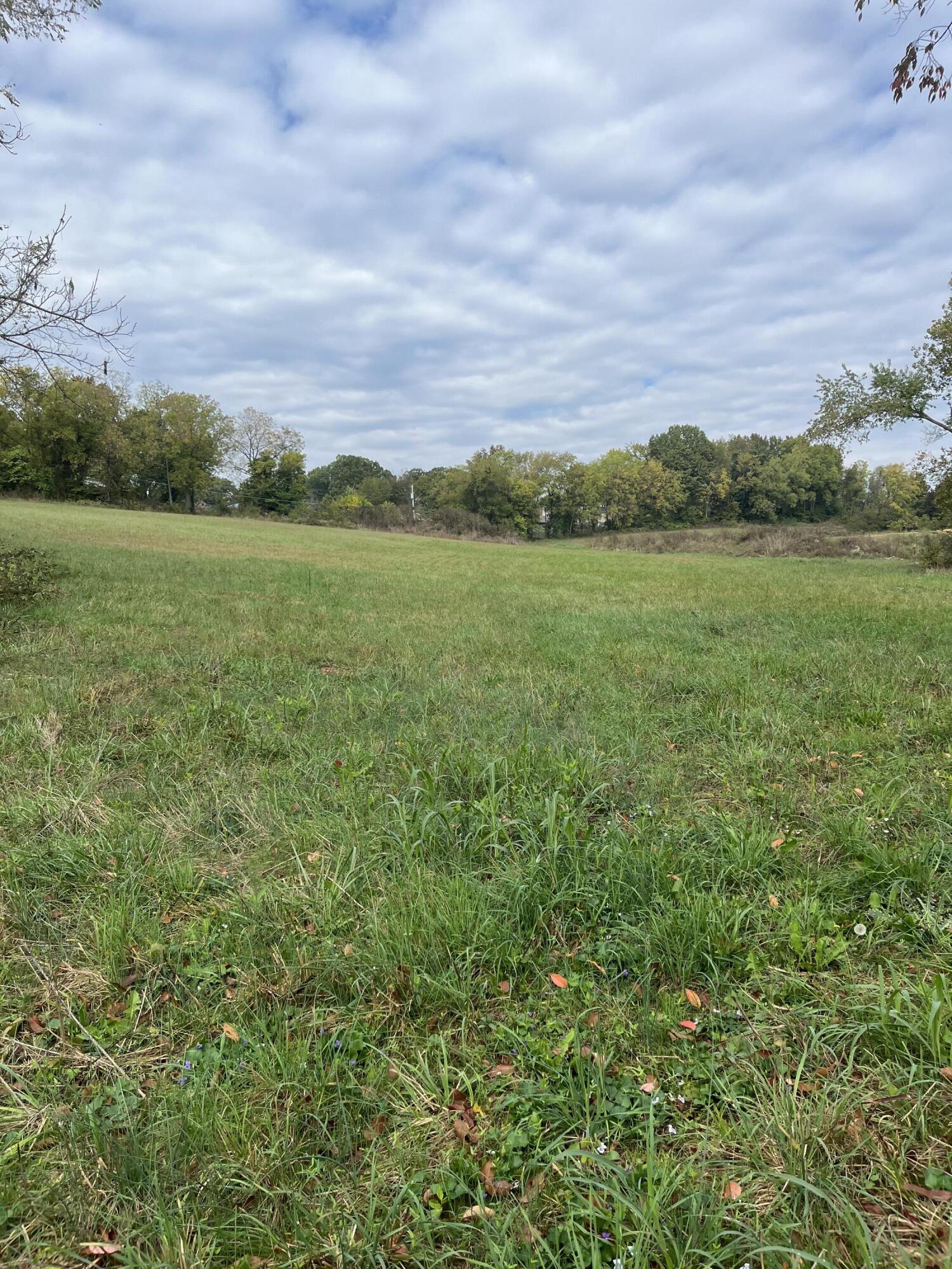 Photo 6 - Land for sale – 000  Luney Drive  Cassville, MO