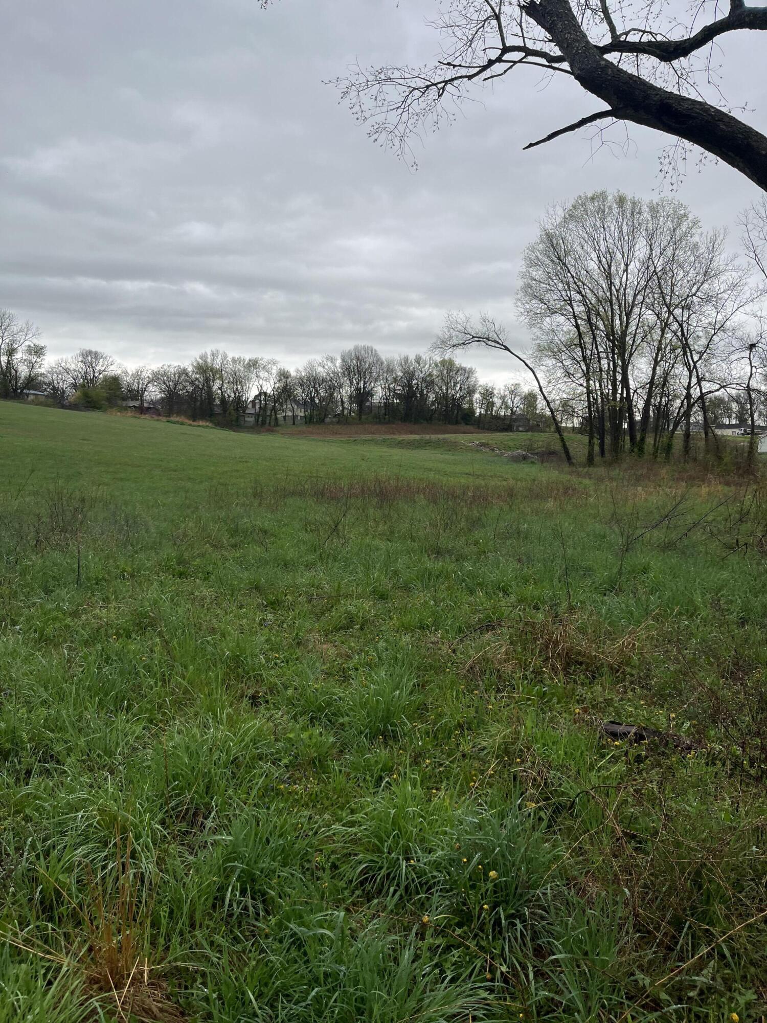 Photo 4 - Land for sale – 000  Luney Drive  Cassville, MO