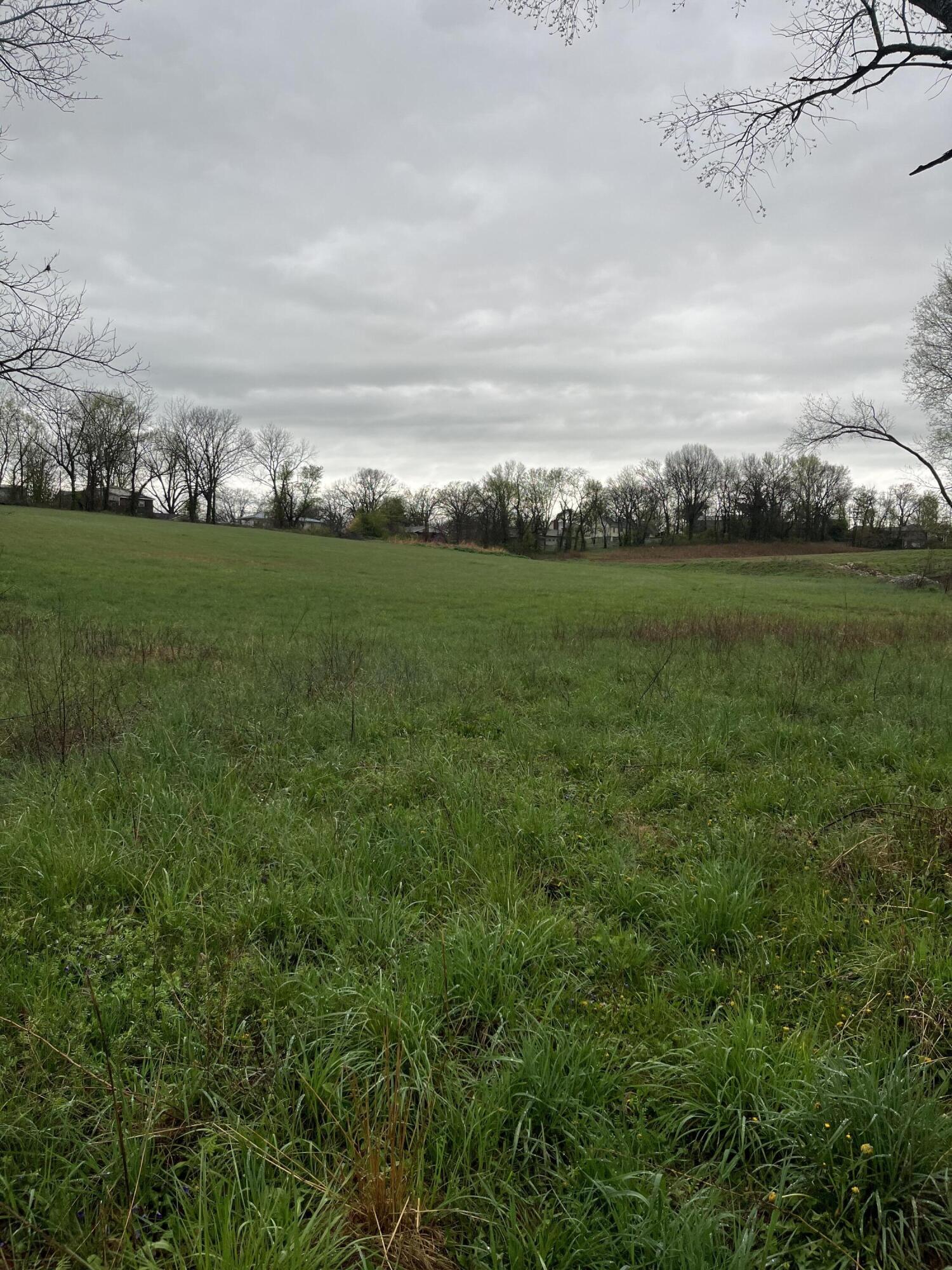 Photo 3 - Land for sale – 000  Luney Drive  Cassville, MO