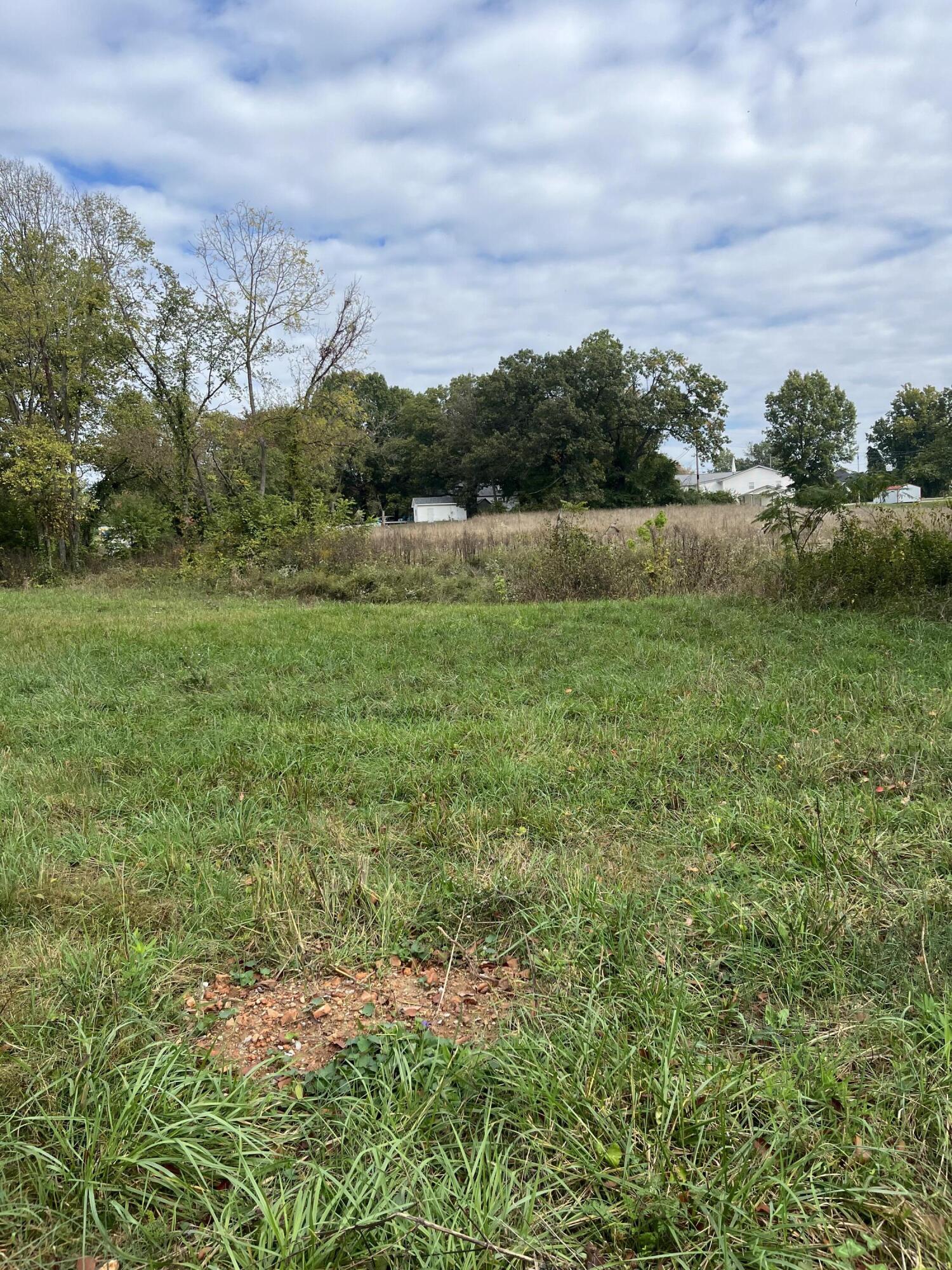 Photo 8 - Land for sale – 000  Luney Drive  Cassville, MO