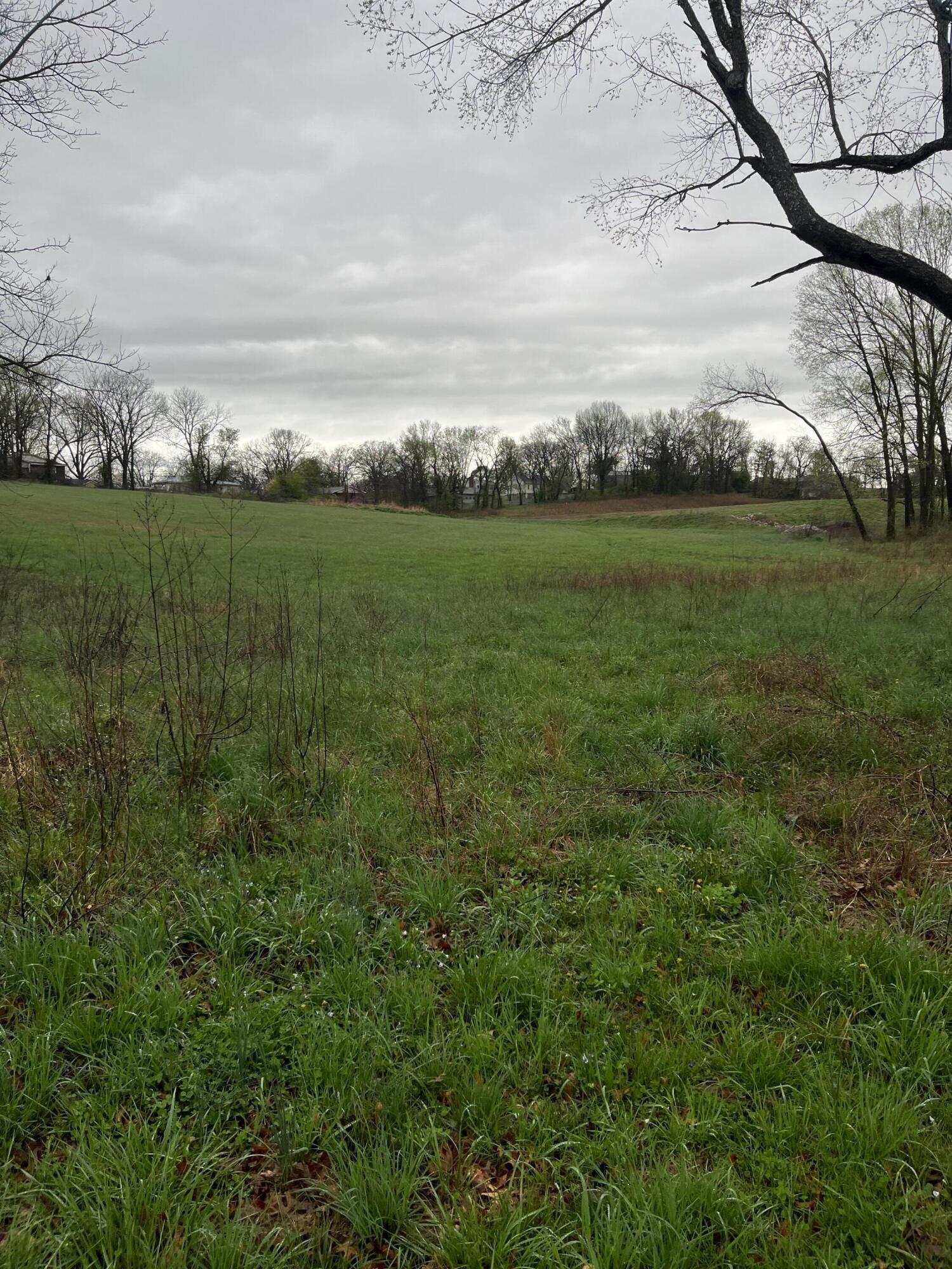 Photo 5 - Land for sale – 000  Luney Drive  Cassville, MO