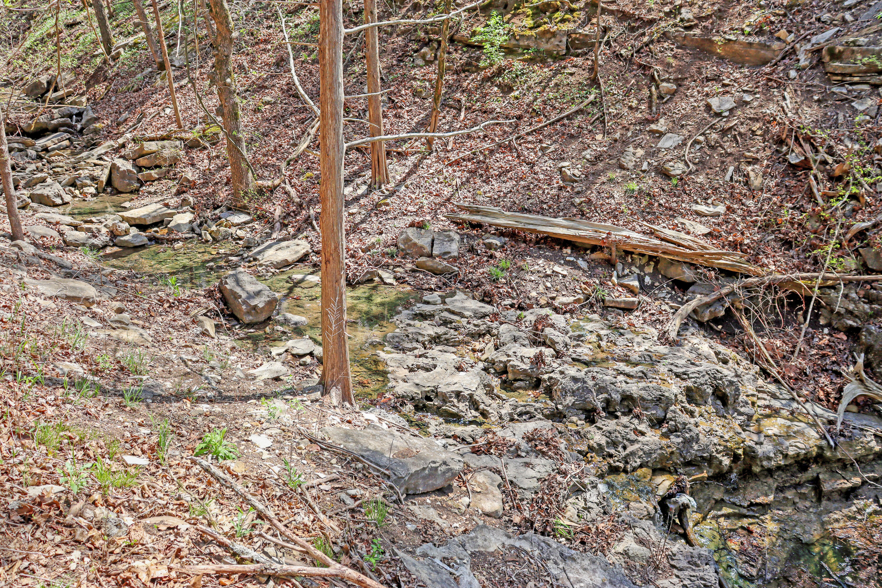 Photo 14 - Land for sale – Tbd 789  Everest (Lot 4) Road  Galena, MO