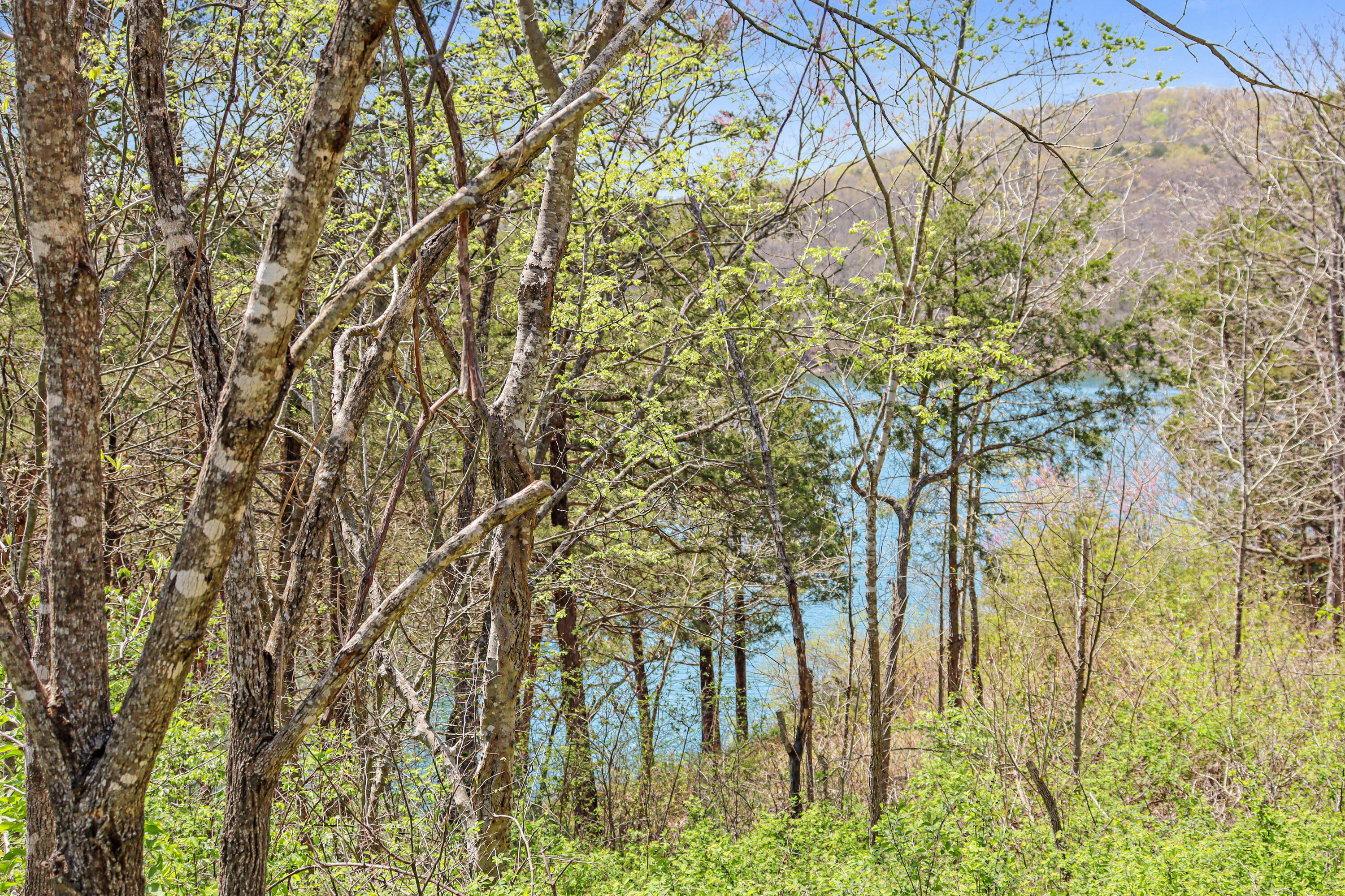 Photo 3 - Land for sale – Tbd 789  Everest (Lot 4) Road  Galena, MO