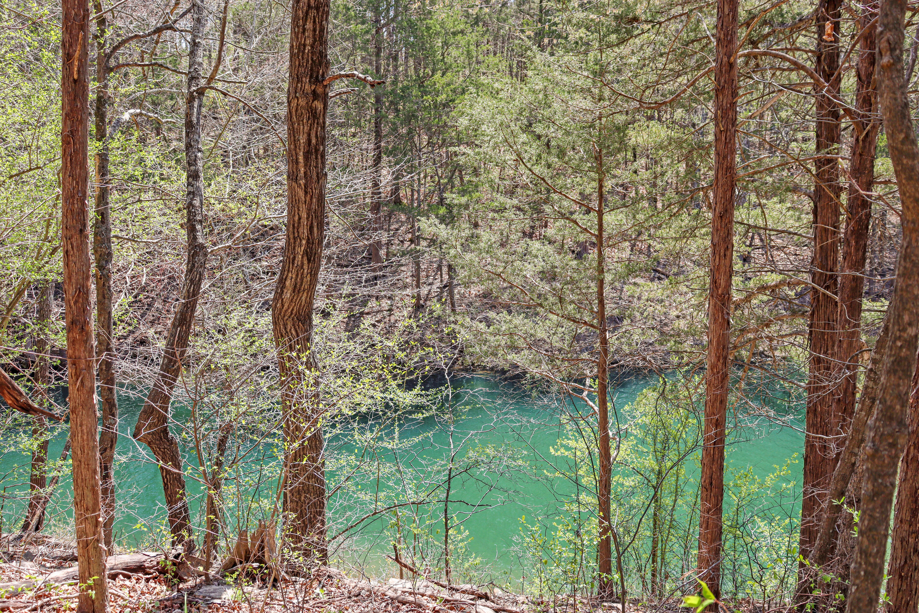 Photo 2 - Land for sale – Tbd 789  Everest (Lot 4) Road  Galena, MO