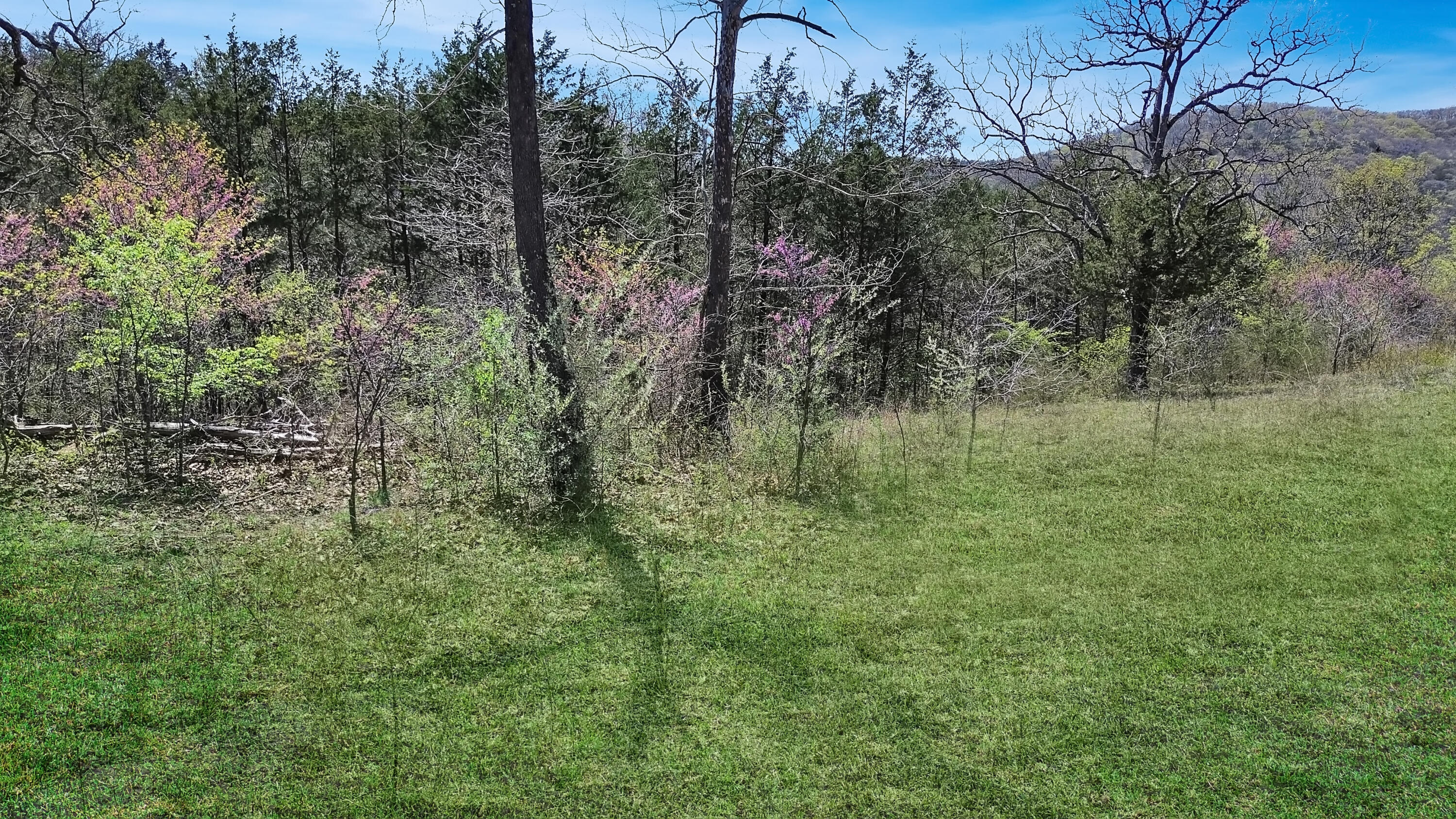 Photo 11 - Land for sale – Tbd 789  Everest (Lot 4) Road  Galena, MO