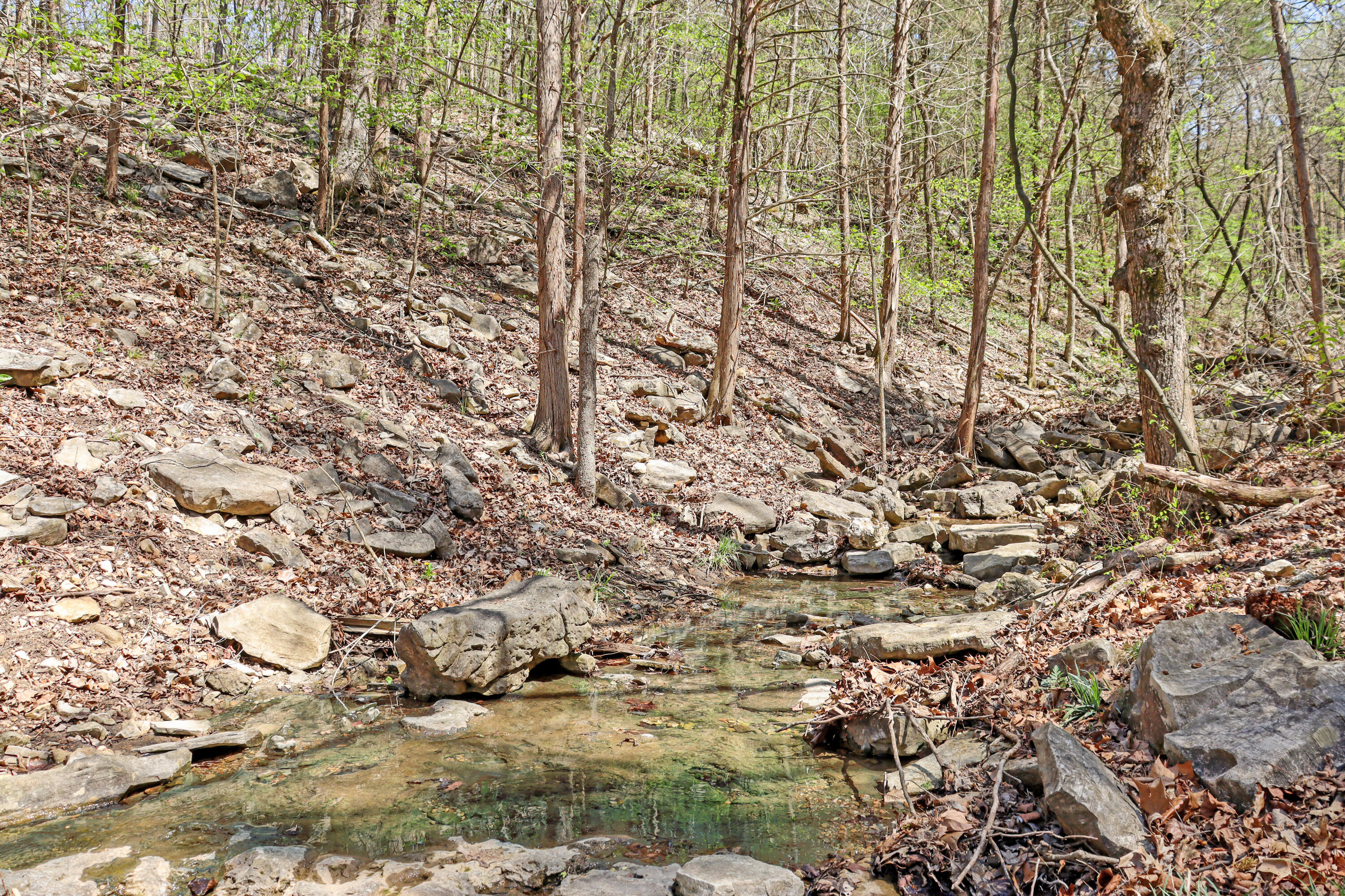 Photo 15 - Land for sale – Tbd 789  Everest (Lot 4) Road  Galena, MO