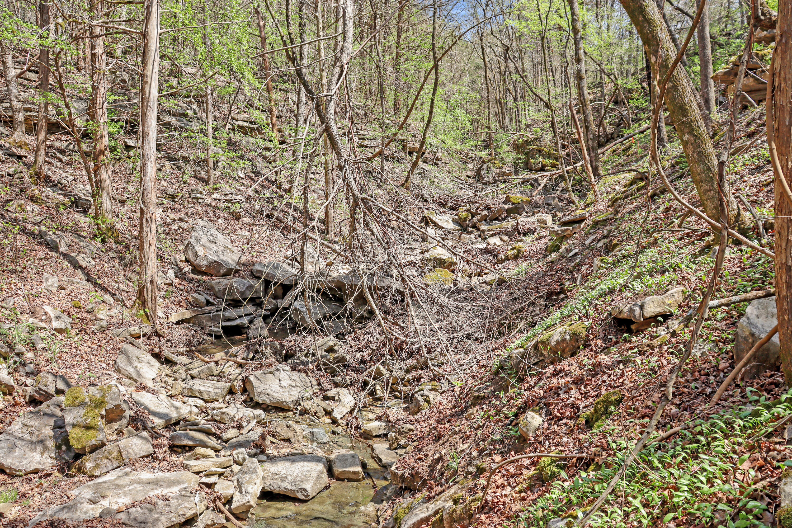 Photo 16 - Land for sale – Tbd 789  Everest (Lot 4) Road  Galena, MO