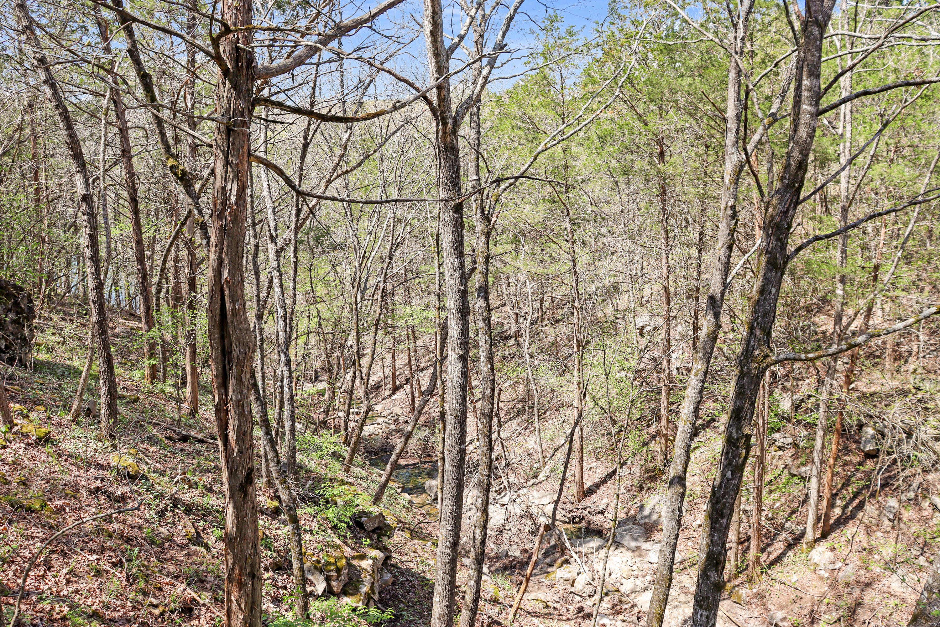 Photo 17 - Land for sale – Tbd 789  Everest (Lot 4) Road  Galena, MO