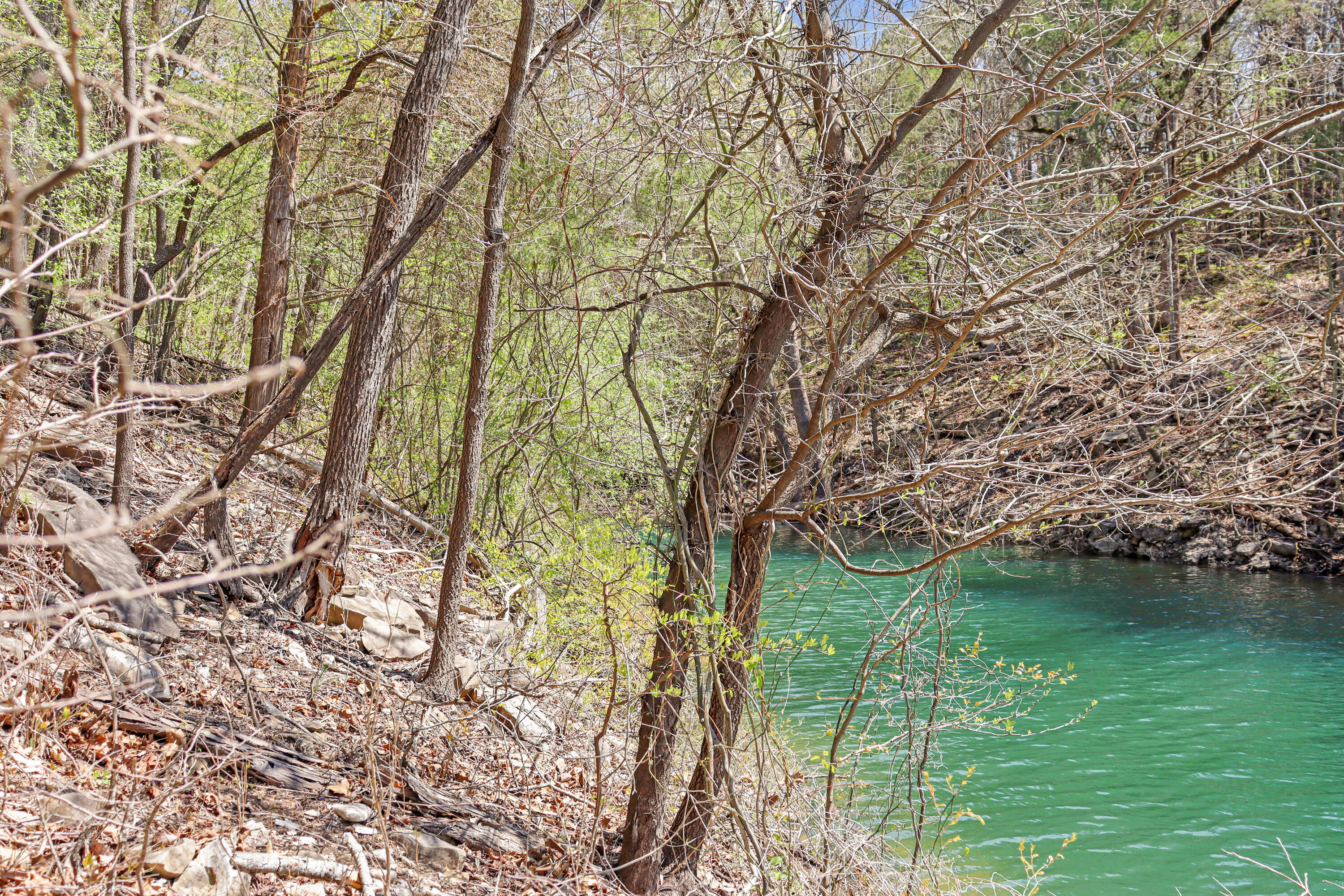 Photo 7 - Land for sale – Tbd 789  Everest (Lot 4) Road  Galena, MO