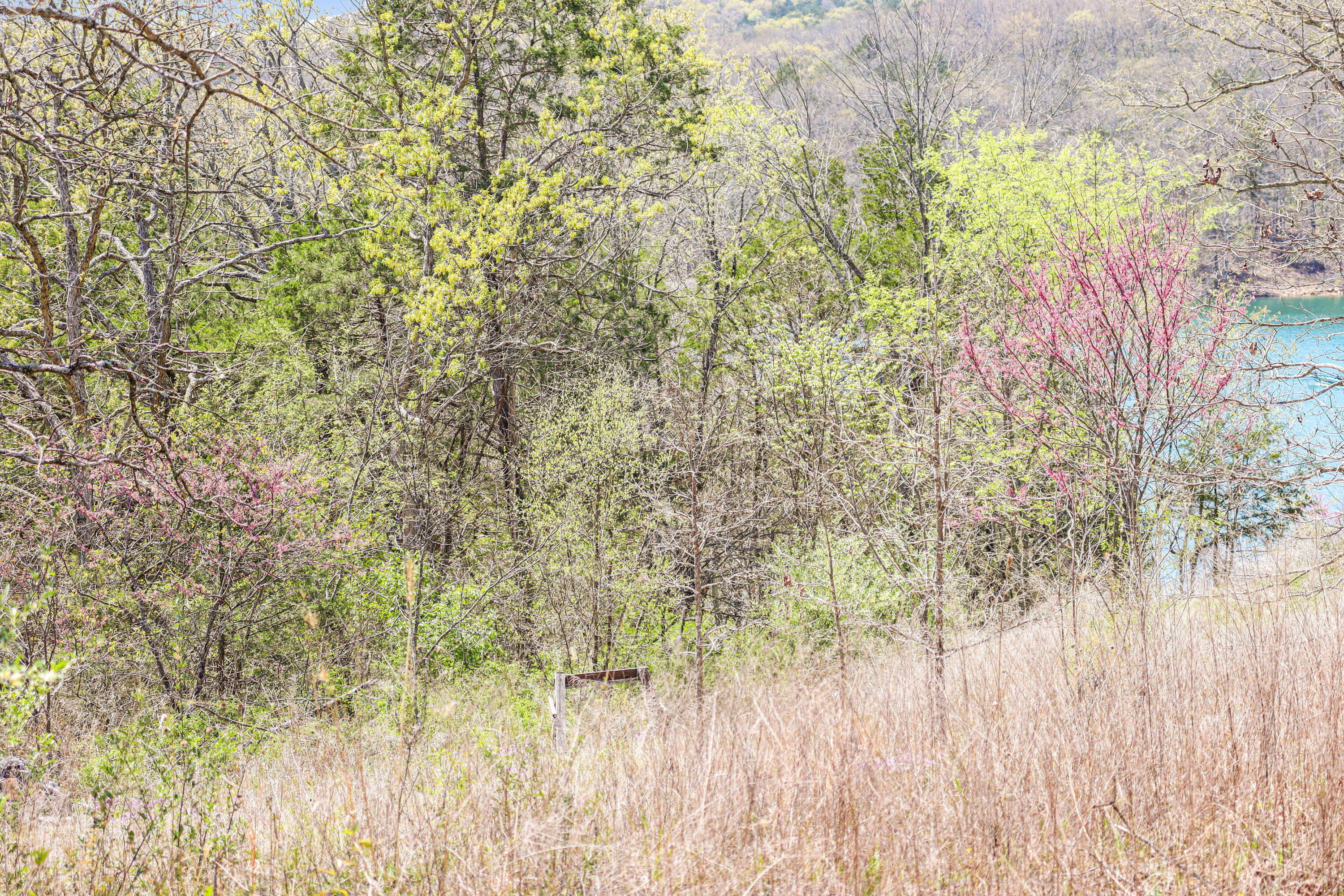 Photo 18 - Land for sale – Tbd 789  Everest (Lot 5) Road  Galena, MO