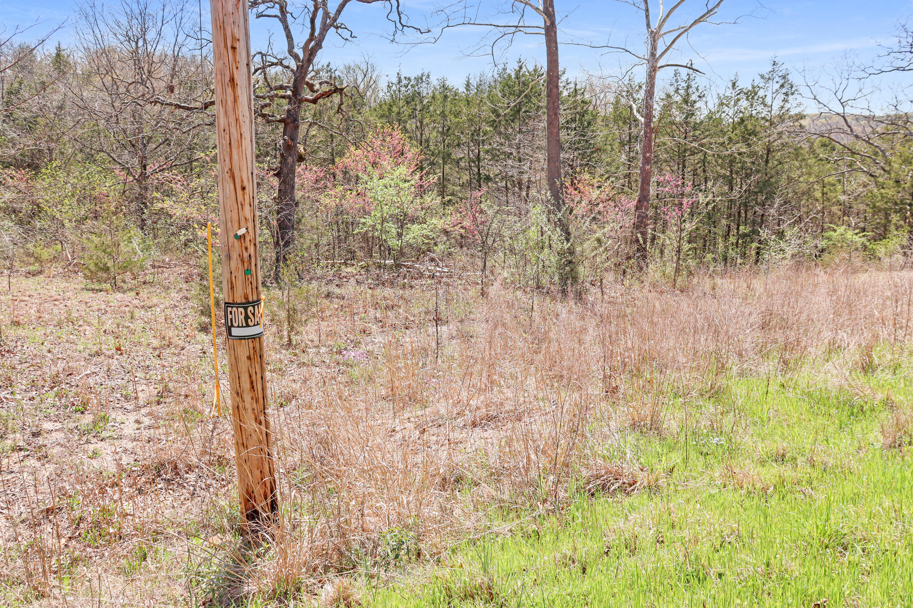 Photo 19 - Land for sale – Tbd 789  Everest (Lot 5) Road  Galena, MO