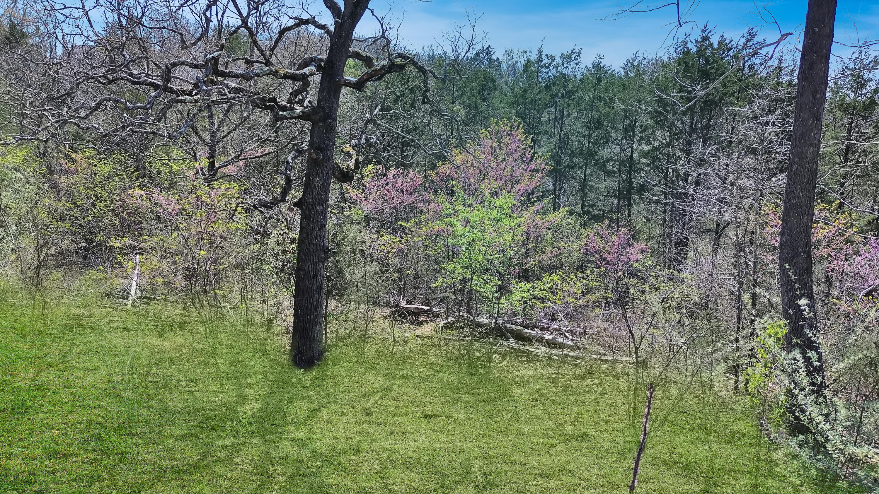 Photo 8 - Land for sale – Tbd 789  Everest (Lot 5) Road  Galena, MO