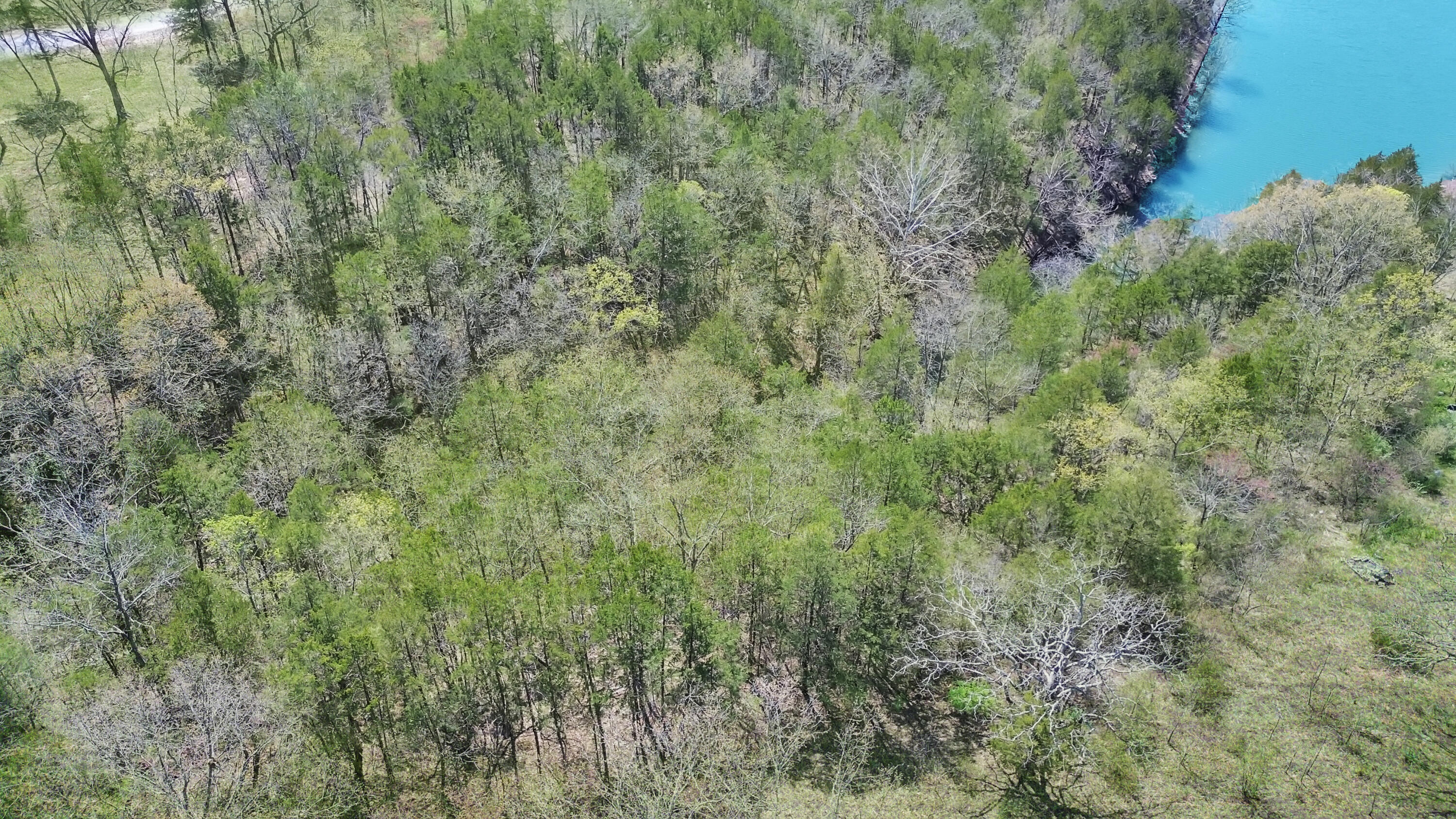 Photo 7 - Land for sale – Tbd 789  Everest (Lot 5) Road  Galena, MO