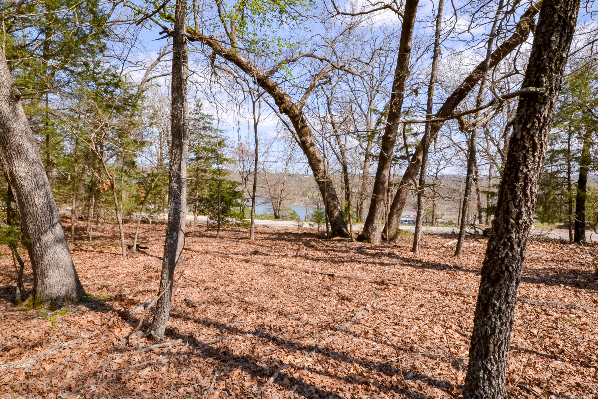 Photo 16 - Land for sale – 000  Farm Road 2250   Golden, MO