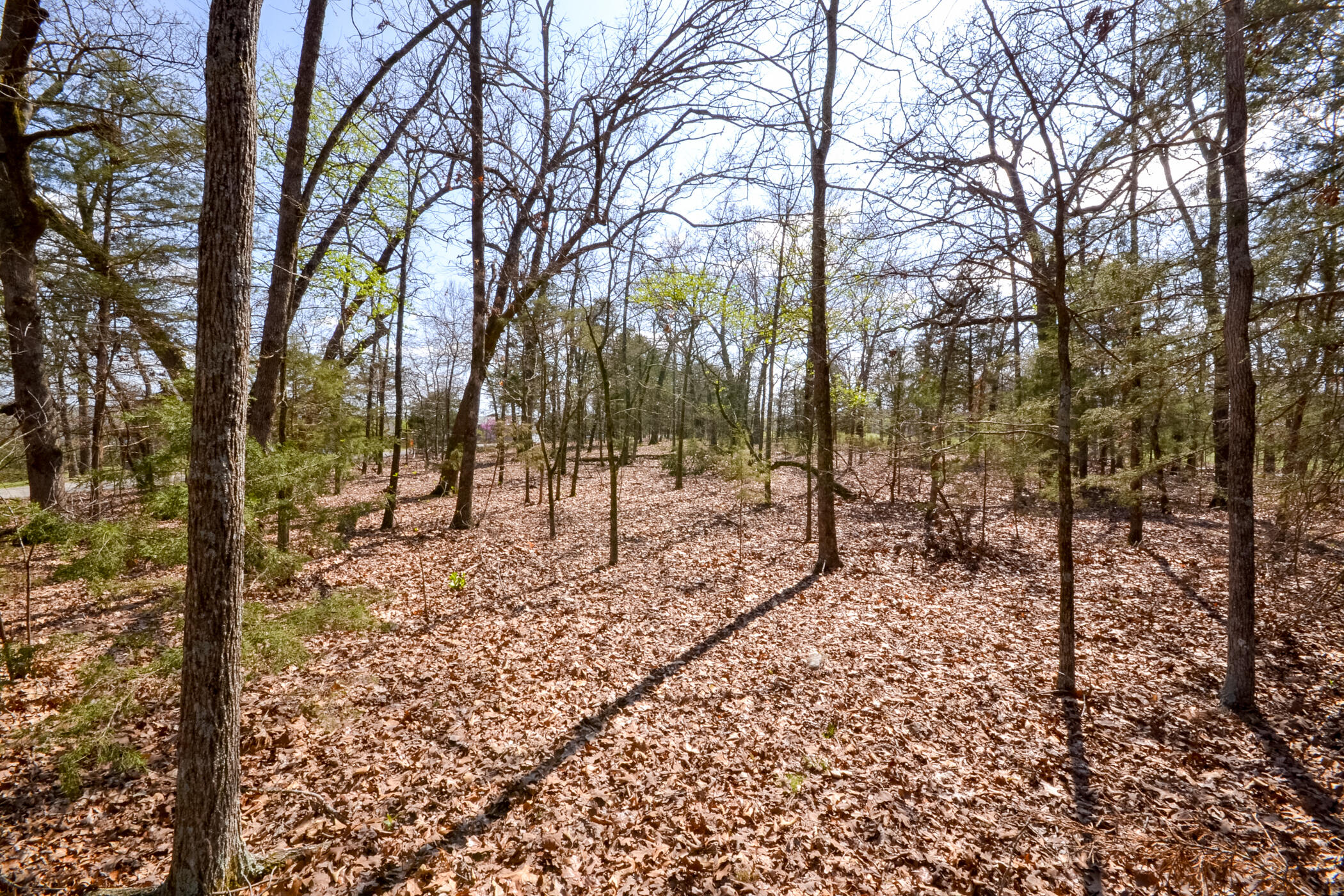 Photo 13 - Land for sale – 000  Farm Road 2250   Golden, MO