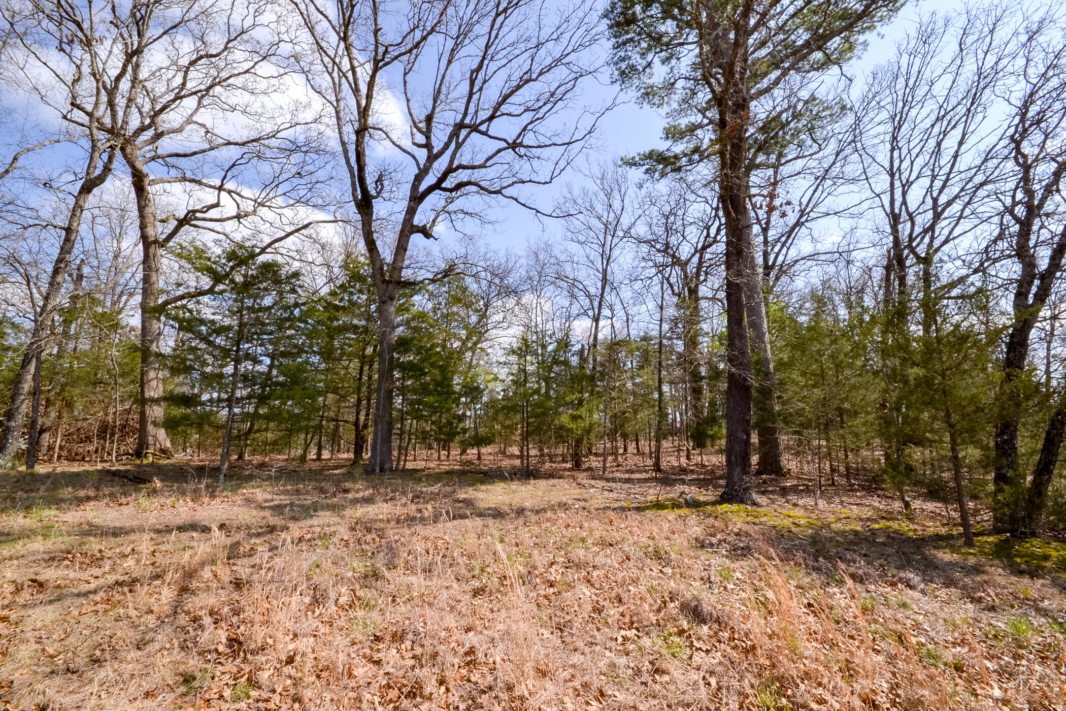 Photo 12 - Land for sale – 000  Farm Road 2250   Golden, MO