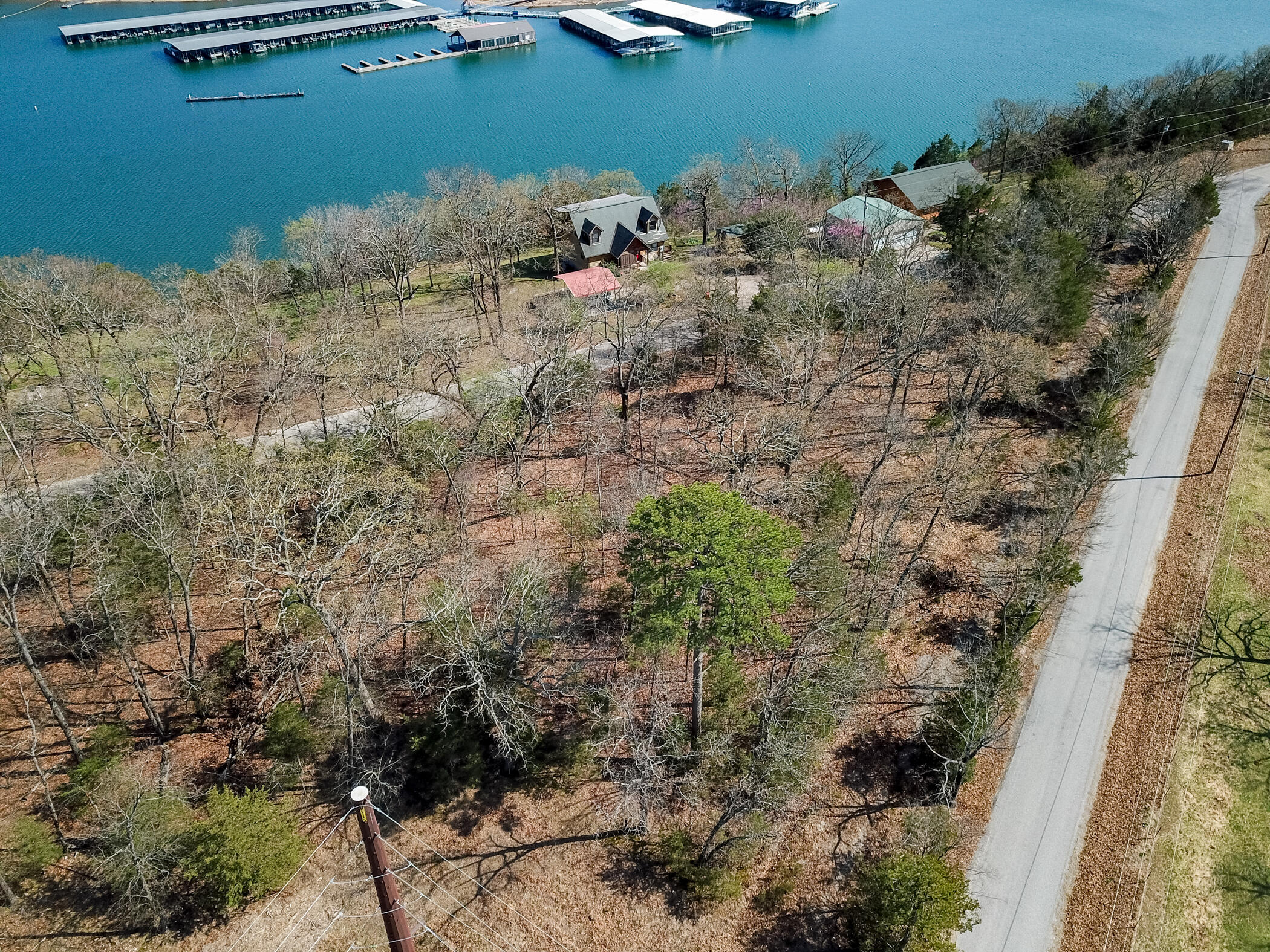 Photo 6 - Land for sale – 000  Farm Road 2250   Golden, MO