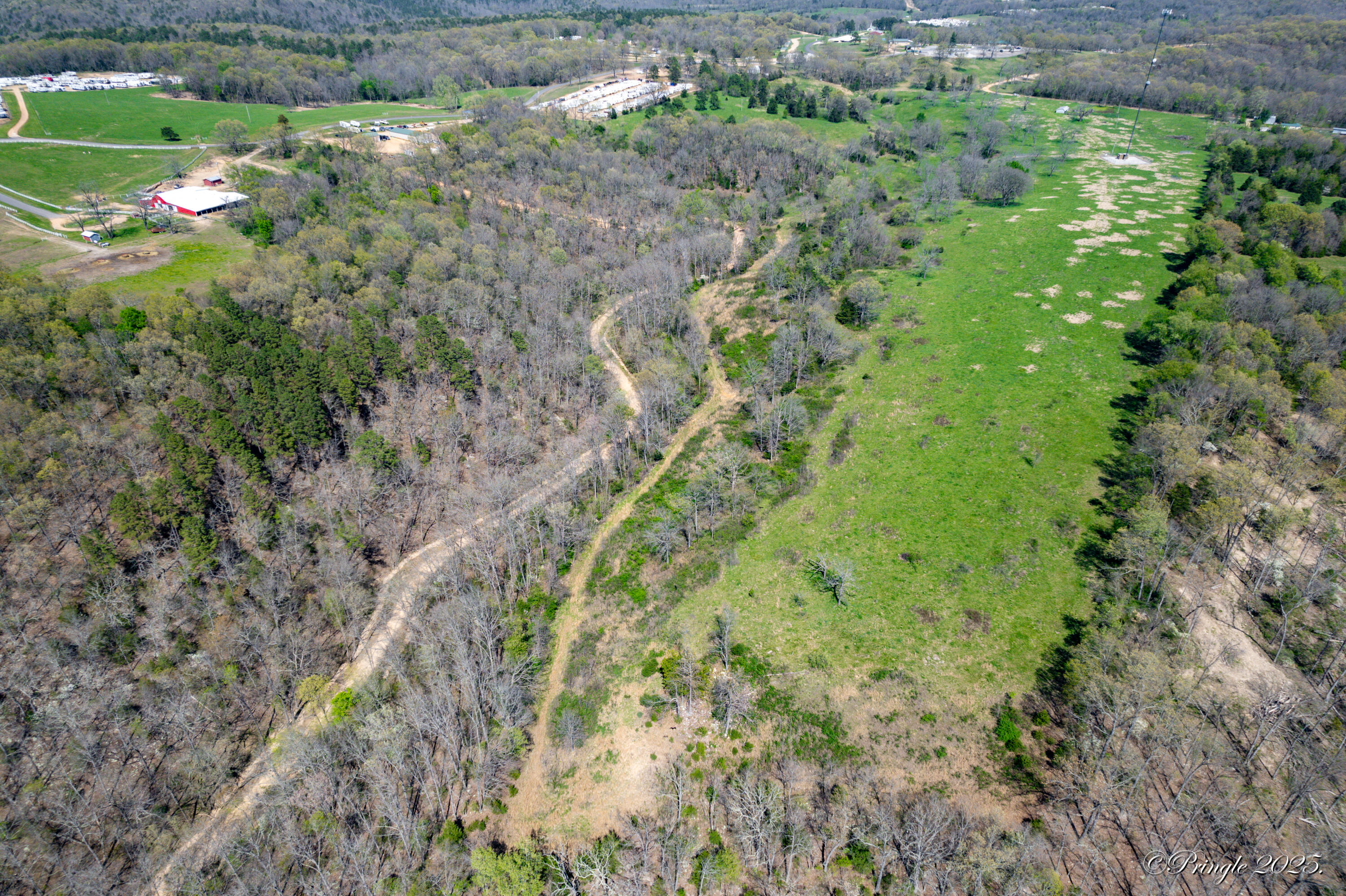 Photo 4 - Land for sale – 000  County Road 350   Caulfield, MO