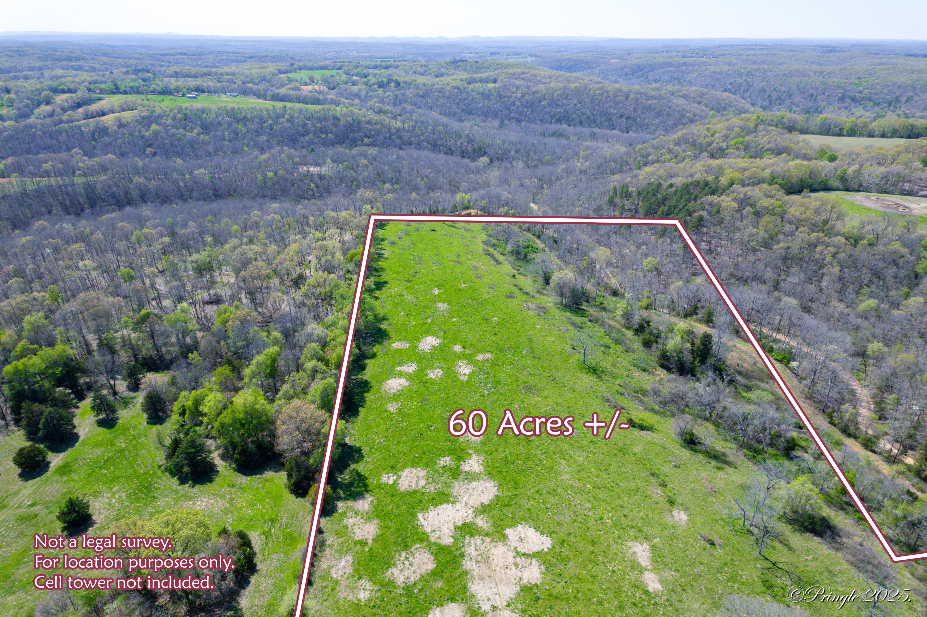Photo 17 - Land for sale – 000  County Road 350   Caulfield, MO