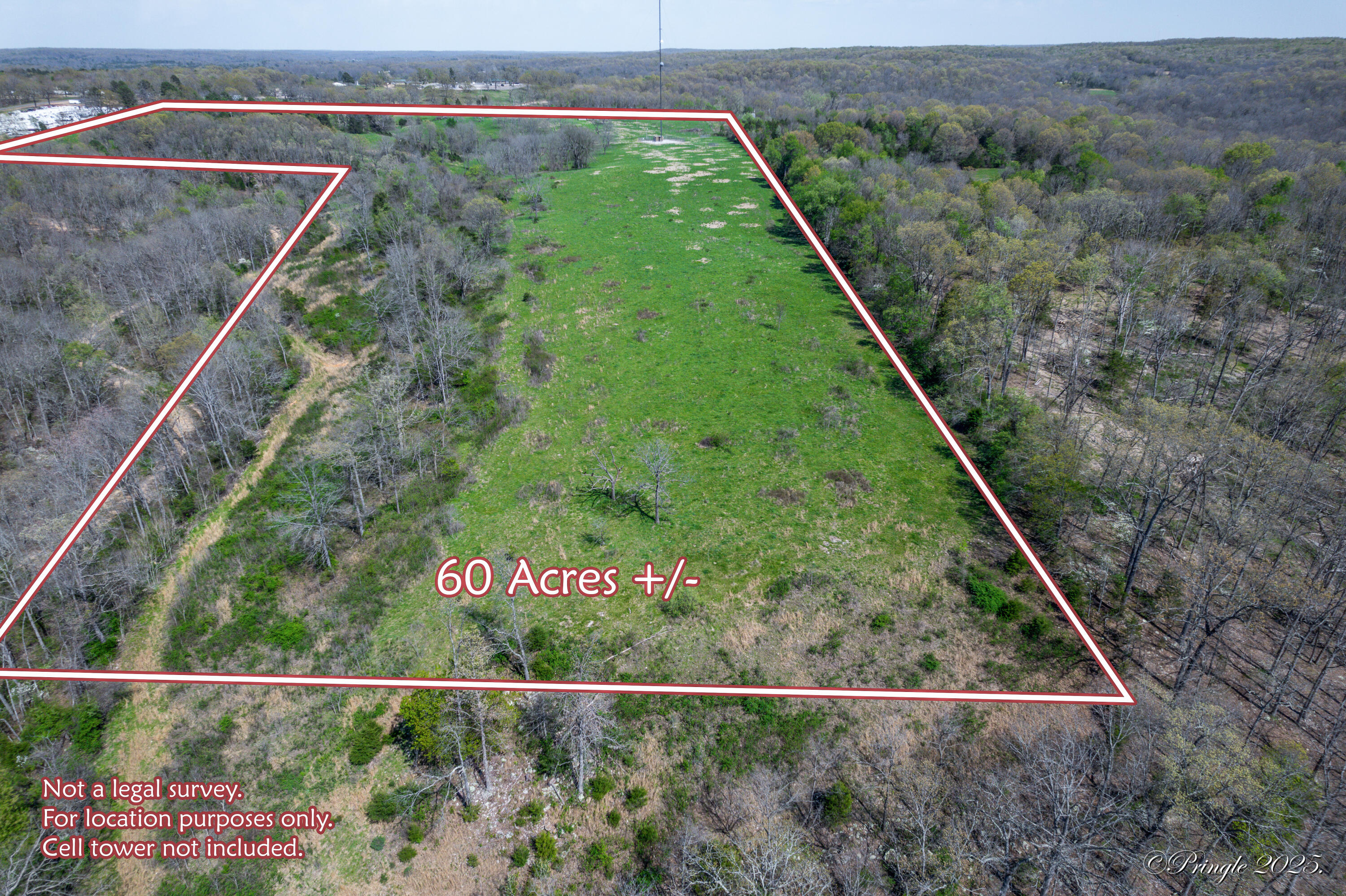 Photo 19 - Land for sale – 000  County Road 350   Caulfield, MO