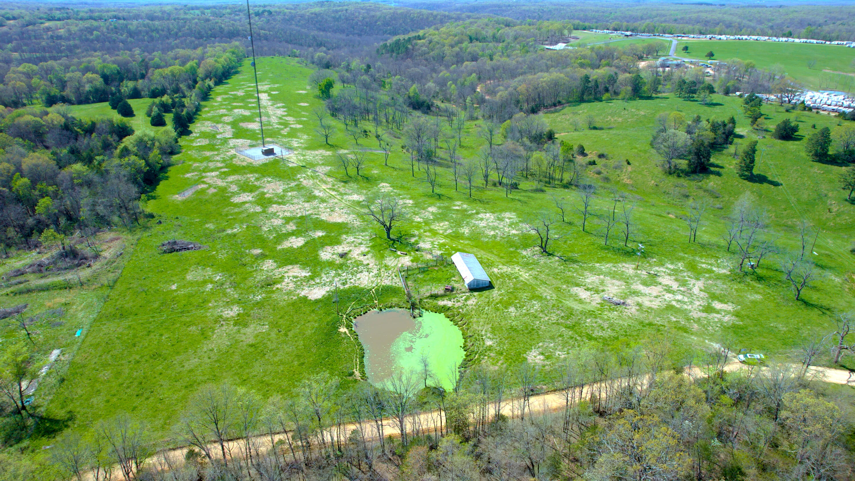 Photo 7 - Land for sale – 000  County Road 350   Caulfield, MO