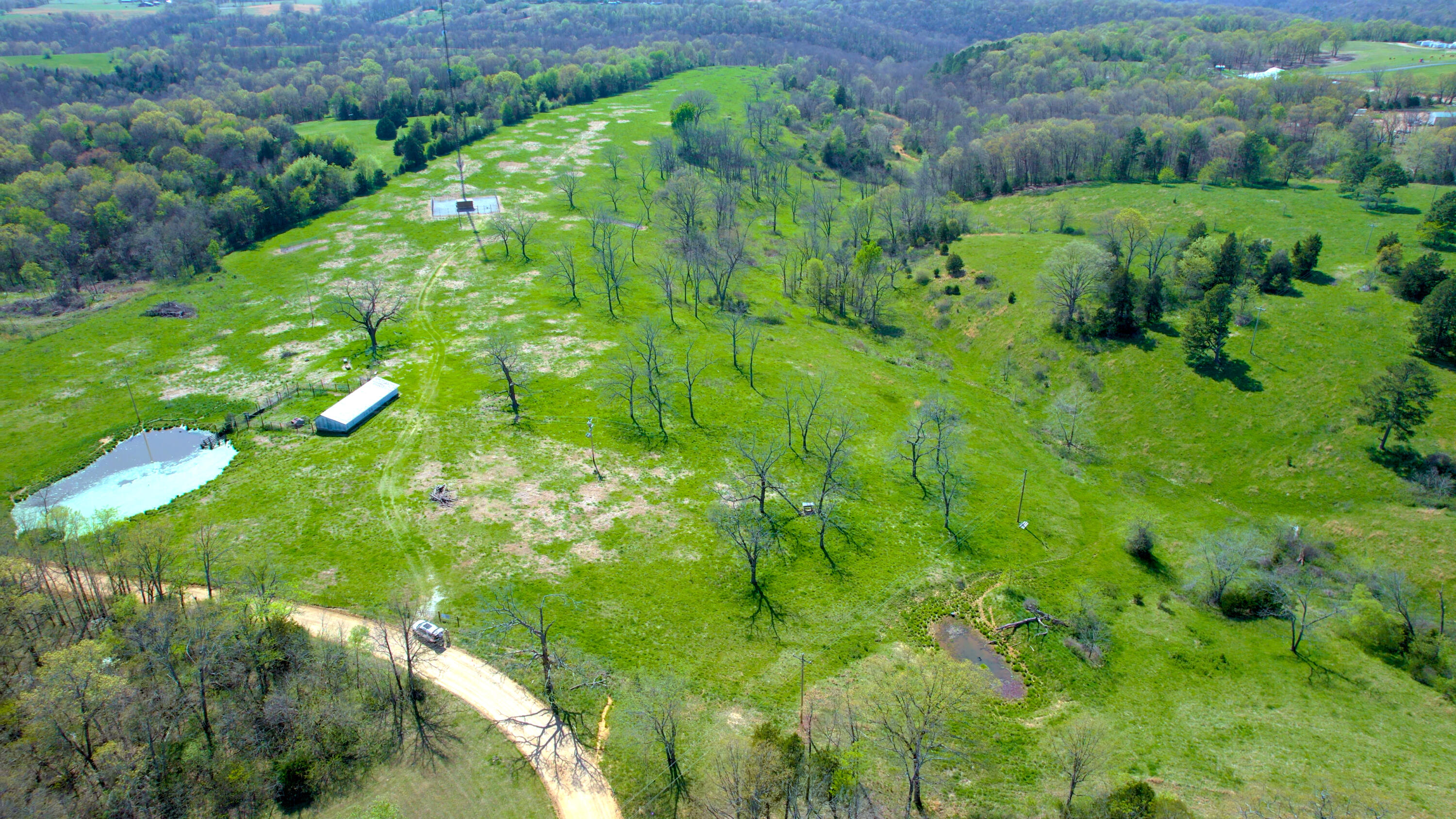Photo 6 - Land for sale – 000  County Road 350   Caulfield, MO