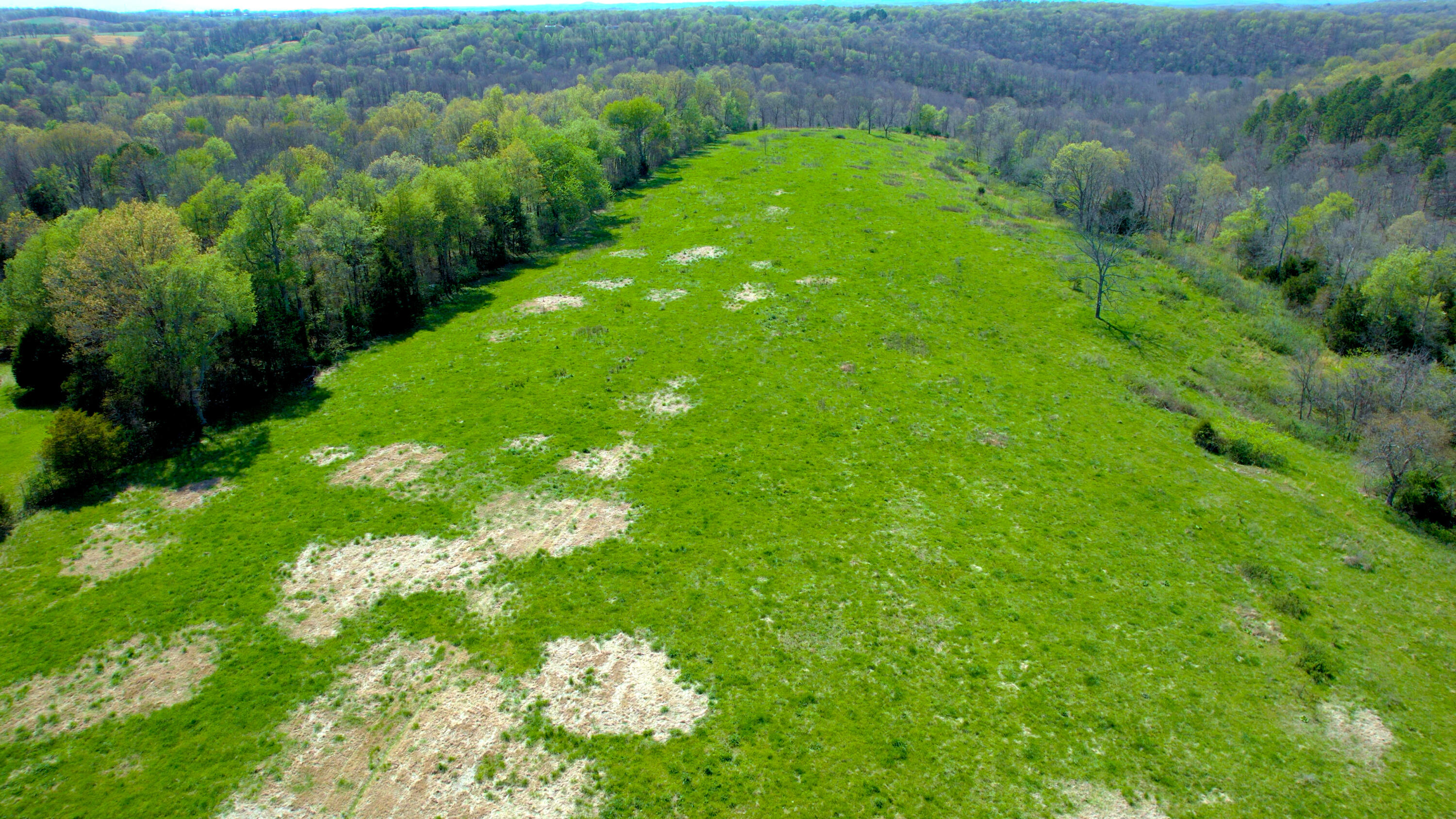 Photo 10 - Land for sale – 000  County Road 350   Caulfield, MO