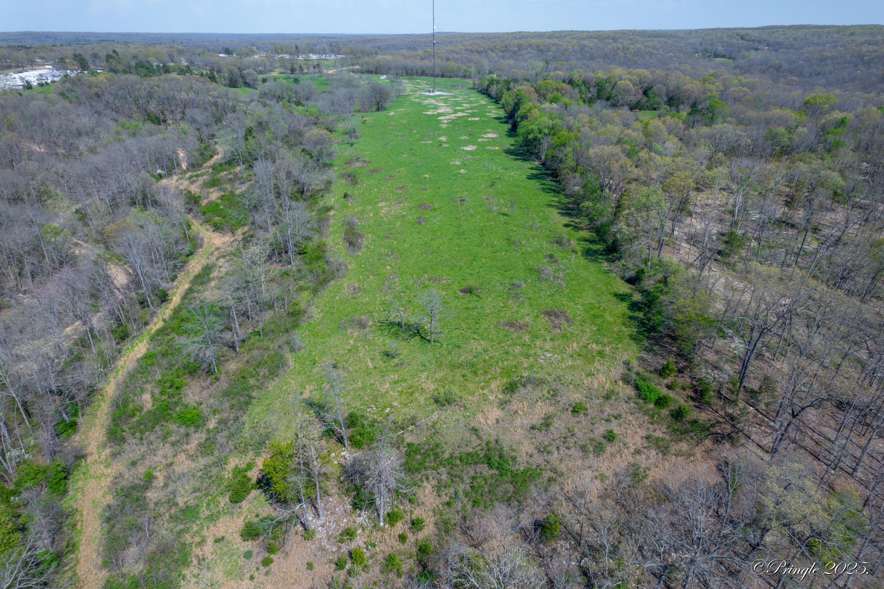 Photo 5 - Land for sale – 000  County Road 350   Caulfield, MO