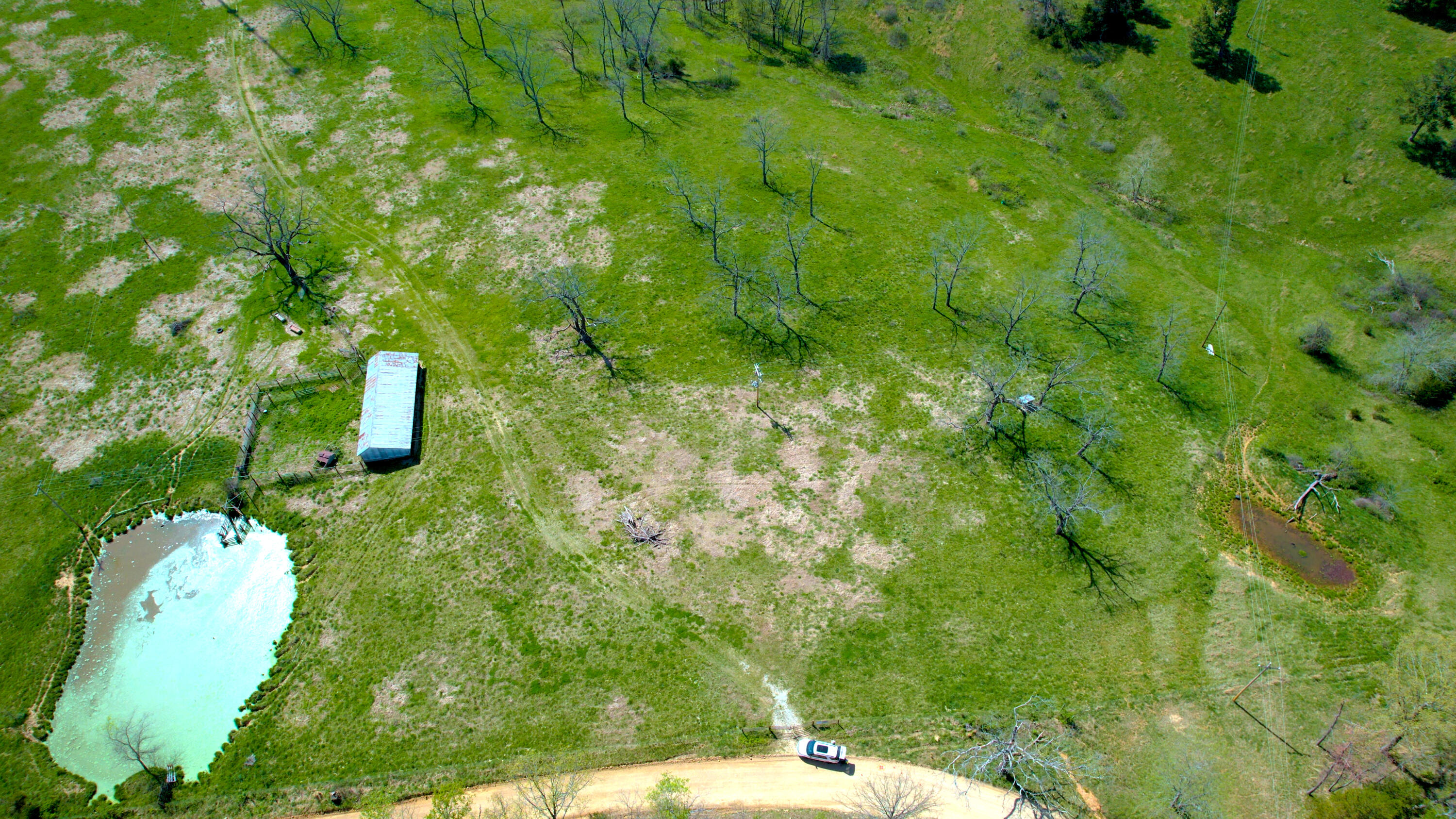 Photo 13 - Land for sale – 000  County Road 350   Caulfield, MO