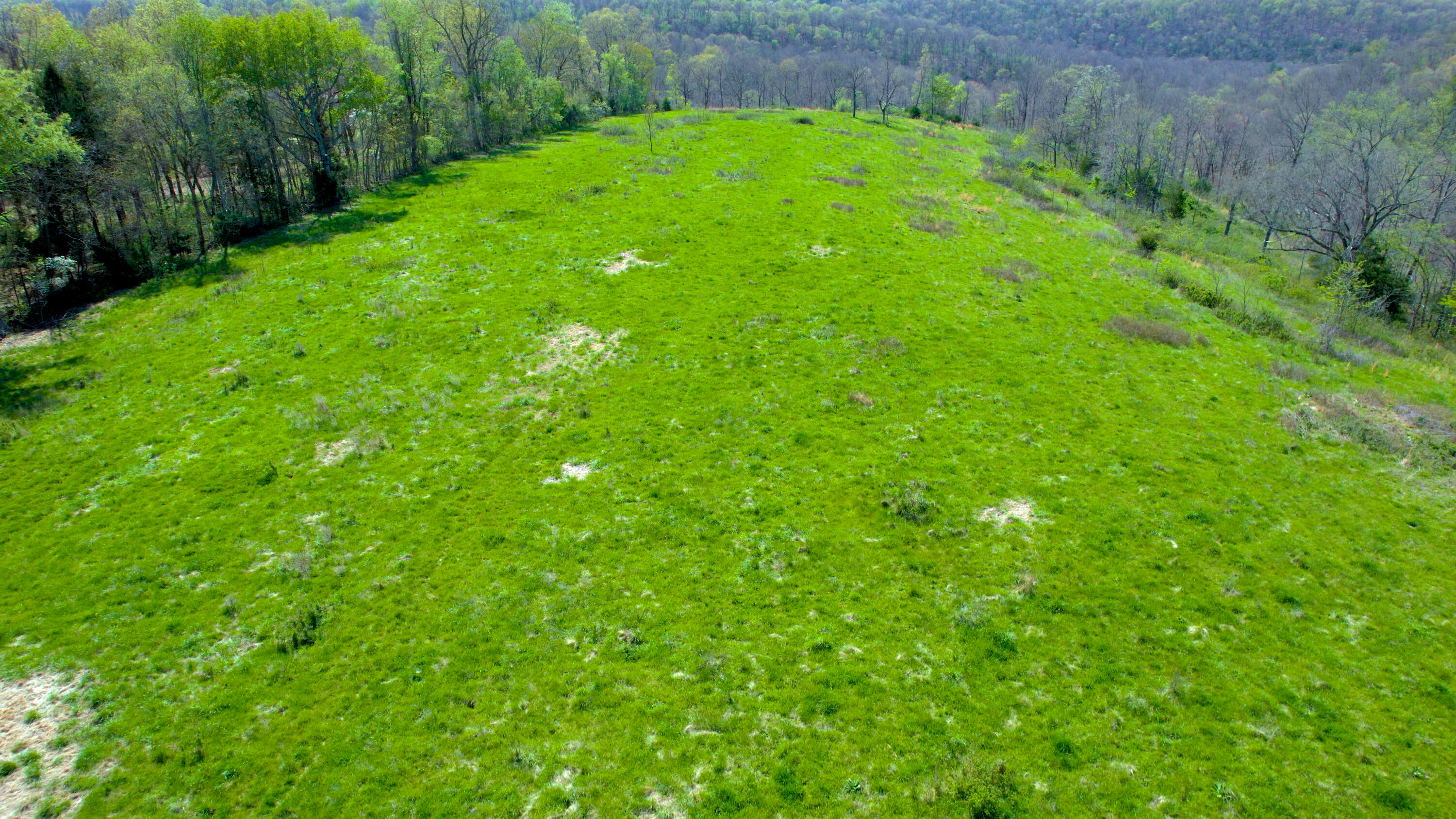 Photo 11 - Land for sale – 000  County Road 350   Caulfield, MO
