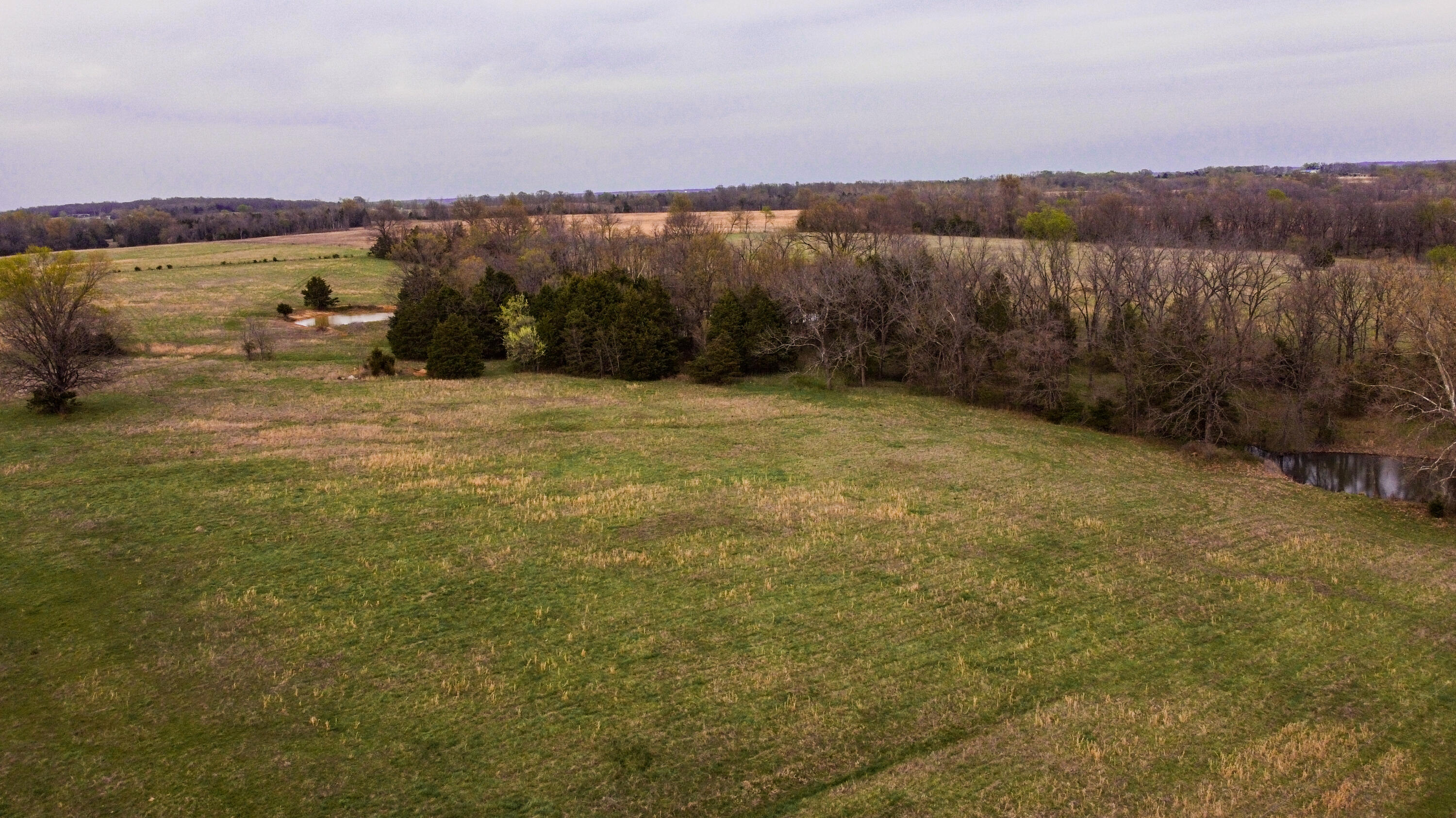 Photo 51 - Residential for sale – 23935 E 1000th Road  Humansville, MO