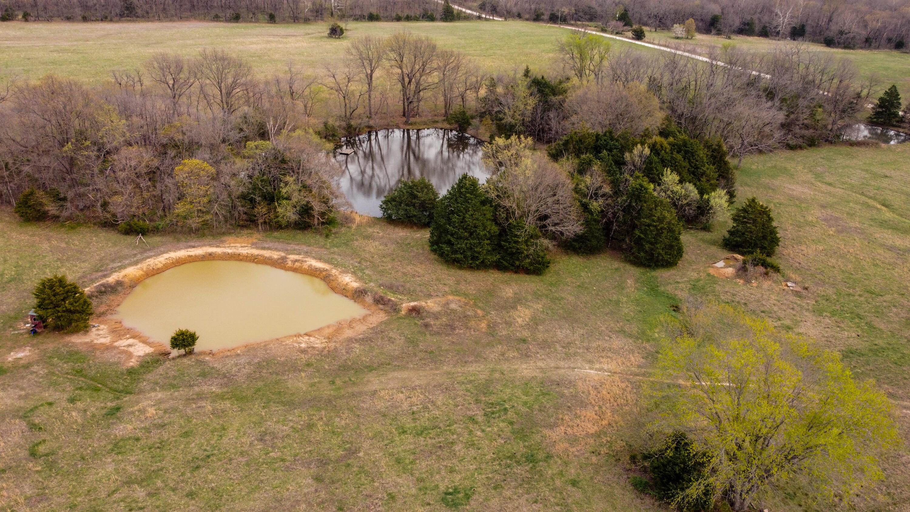 Photo 52 - Residential for sale – 23935 E 1000th Road  Humansville, MO