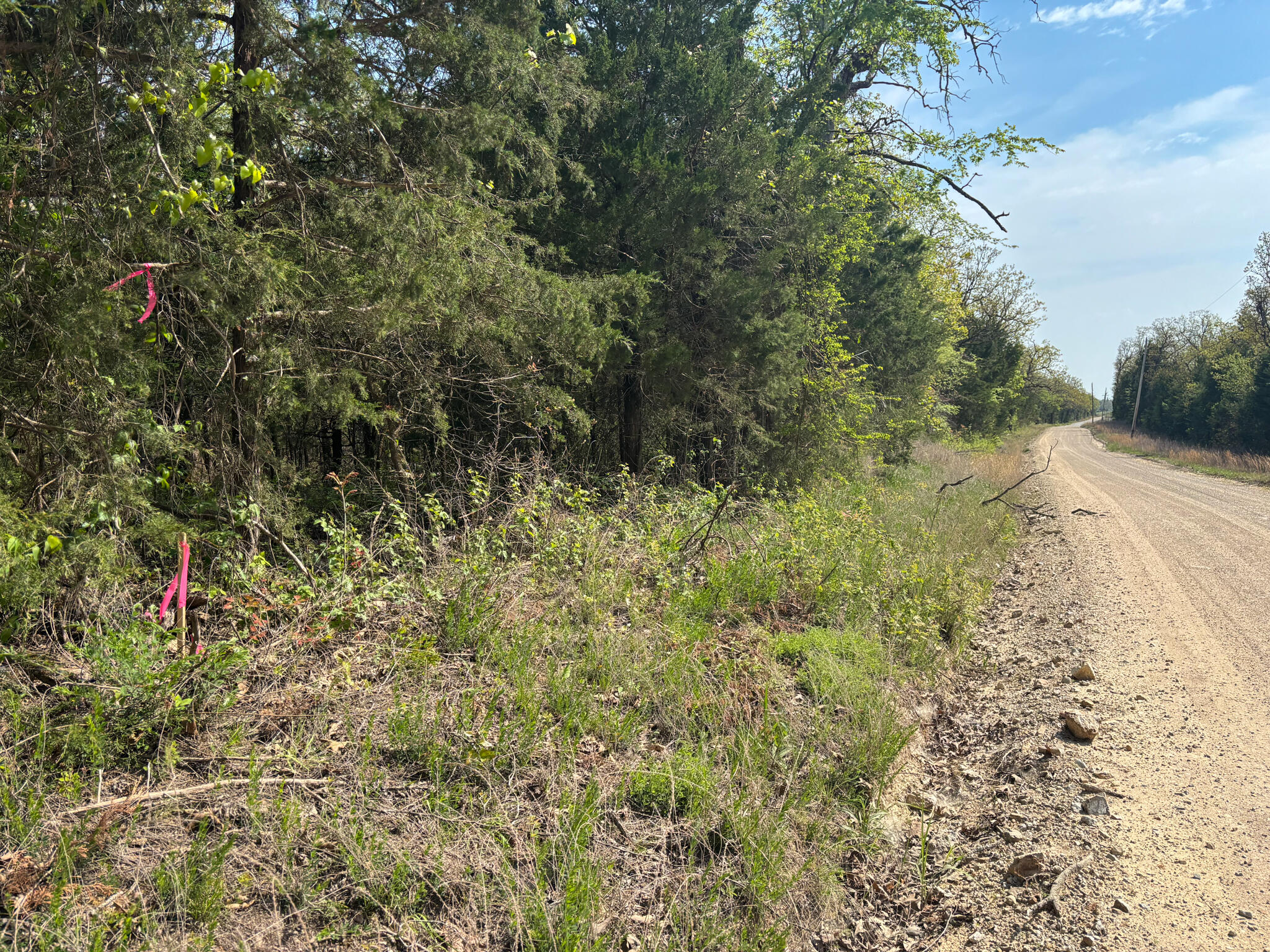 Photo 2 - Land for sale – 000  County Road 644   Theodosia, MO