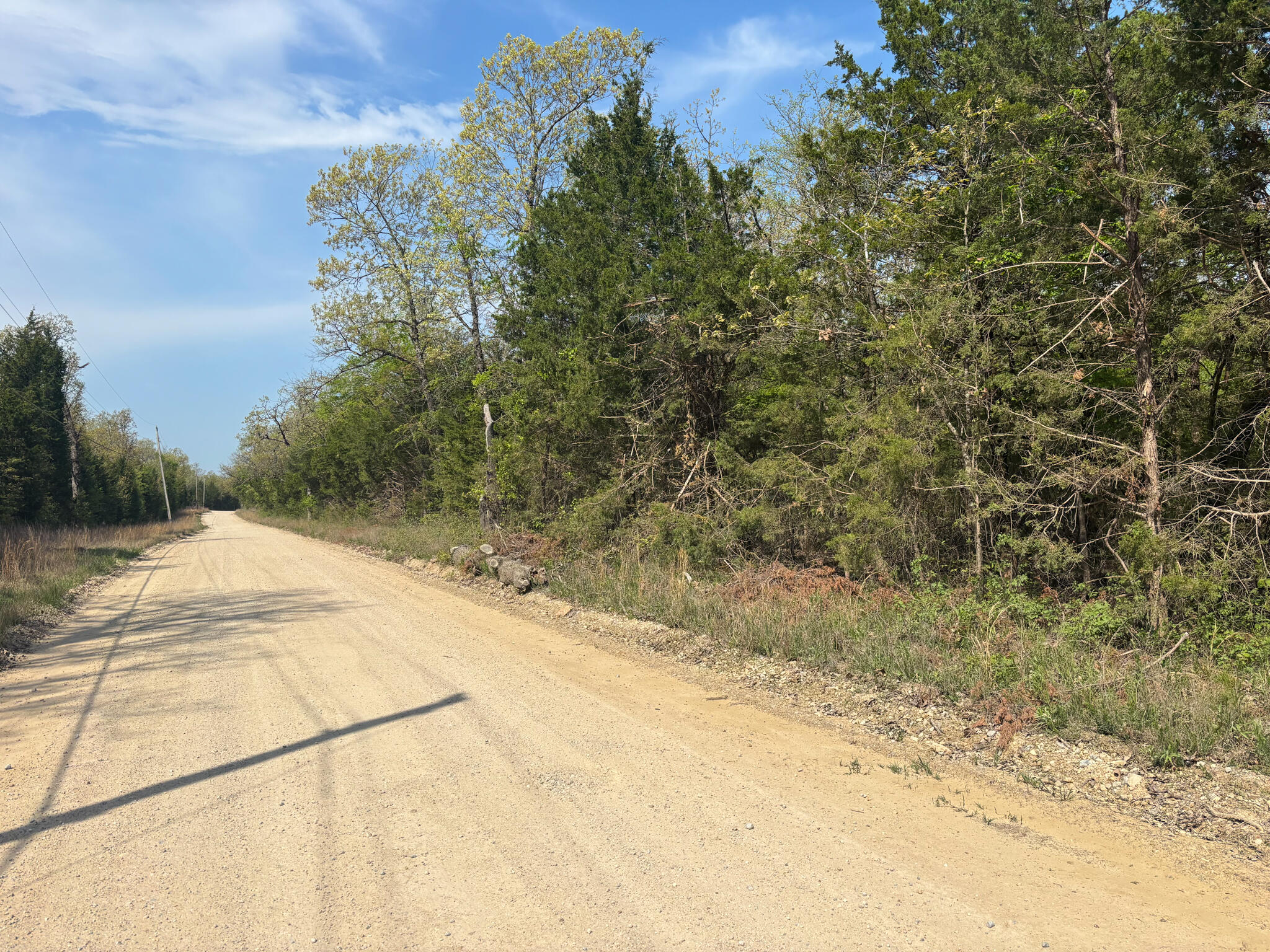 Land for sale – 000  County Road 644   Theodosia, MO
