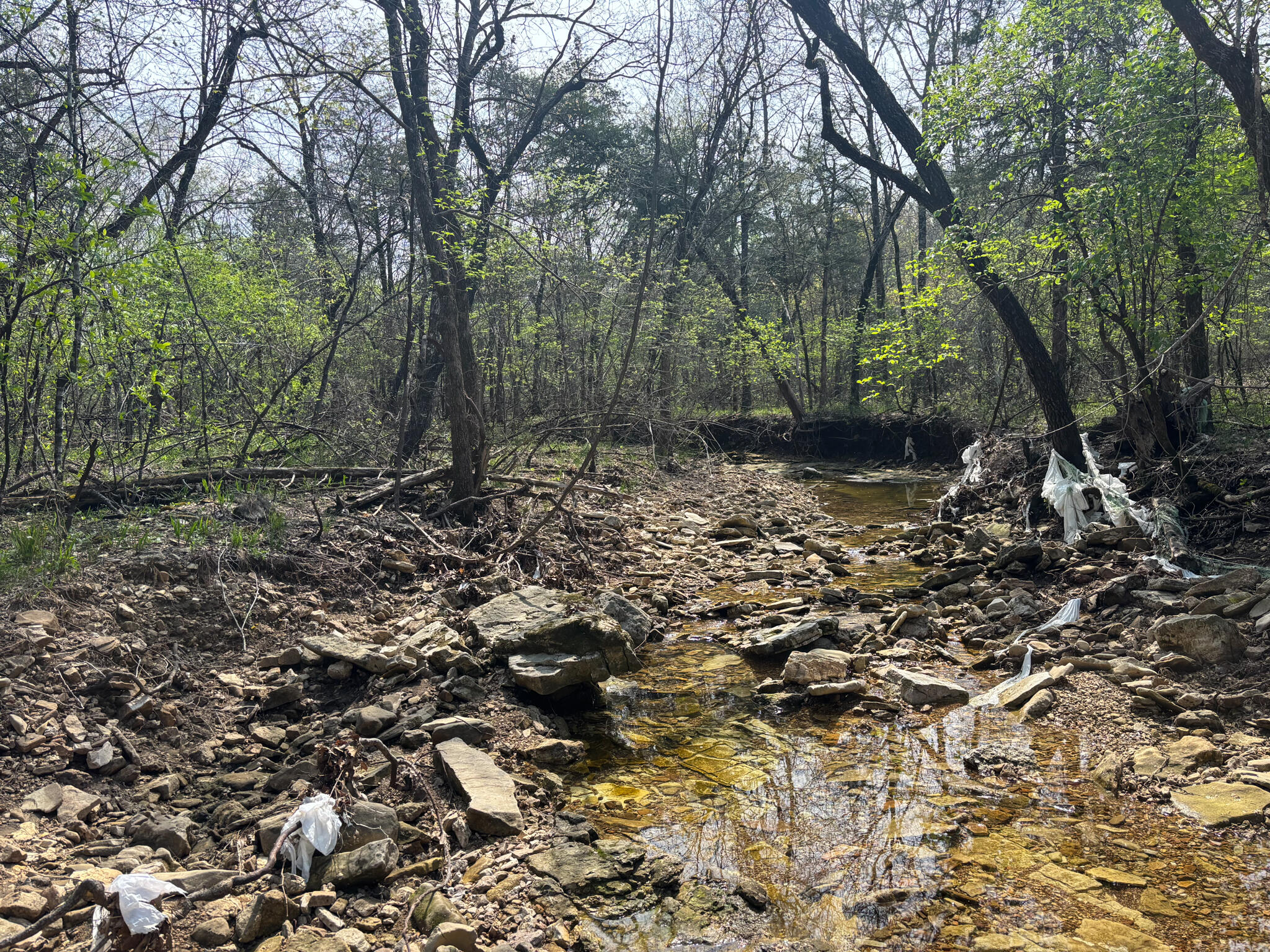 Photo 13 - Land for sale – 000  County Road 644   Theodosia, MO