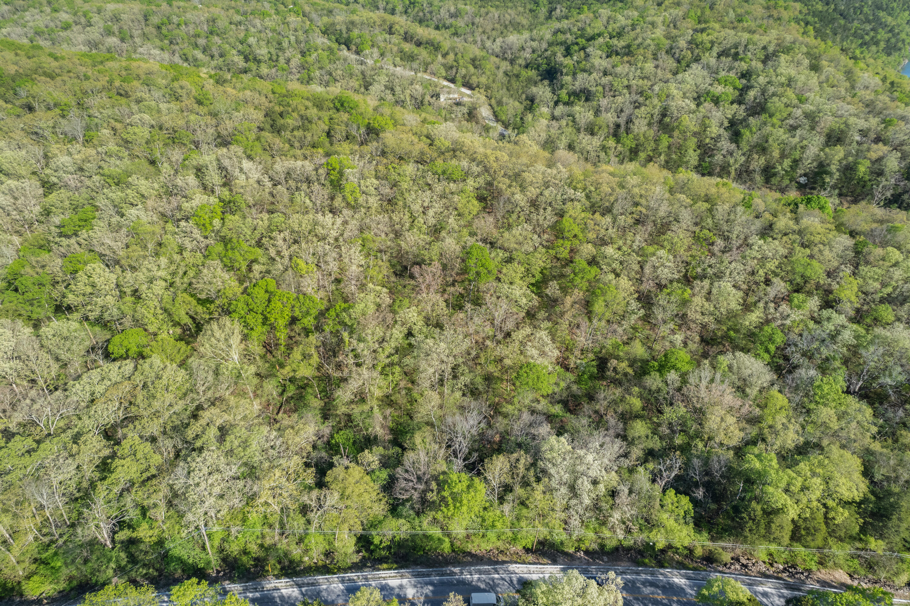 Photo 14 - Land for sale – 000  160 Highway  Forsyth, MO