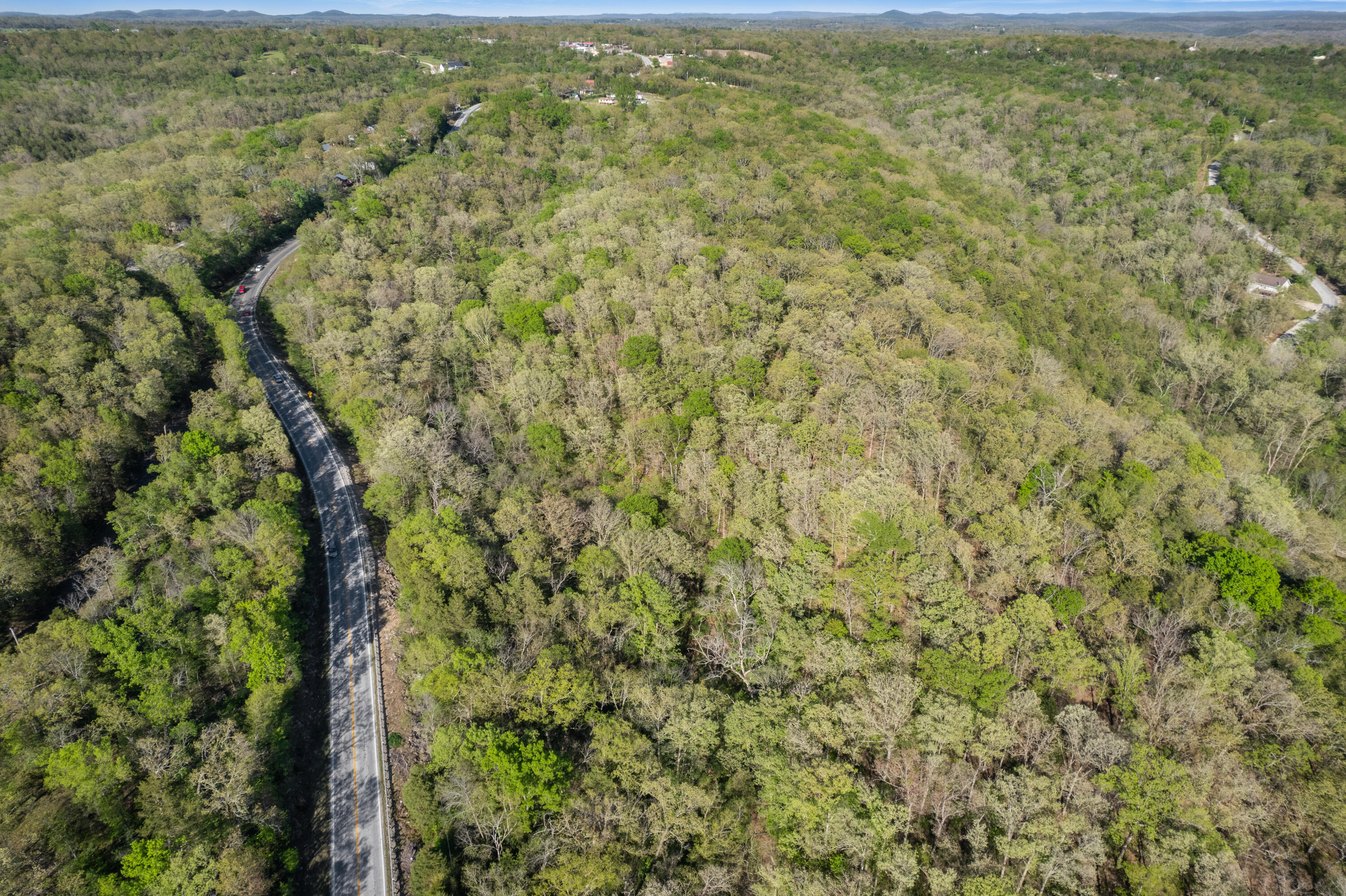 Photo 5 - Land for sale – 000  160 Highway  Forsyth, MO