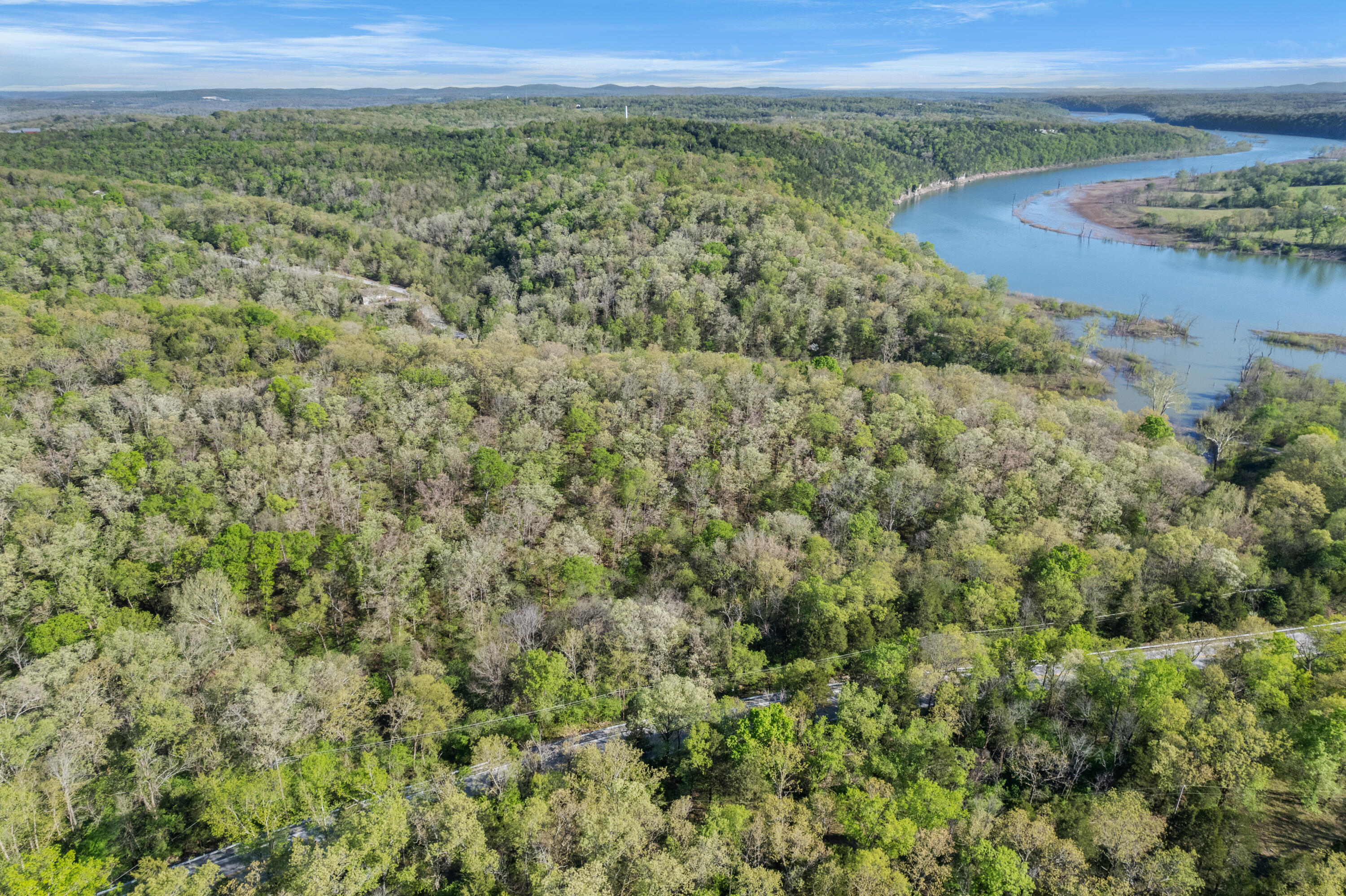 Photo 12 - Land for sale – 000  160 Highway  Forsyth, MO