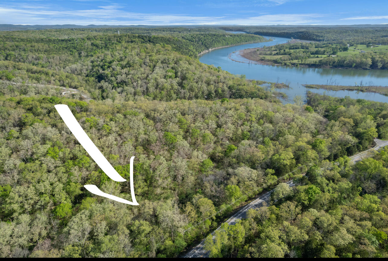 Photo 3 - Land for sale – 000  160 Highway  Forsyth, MO