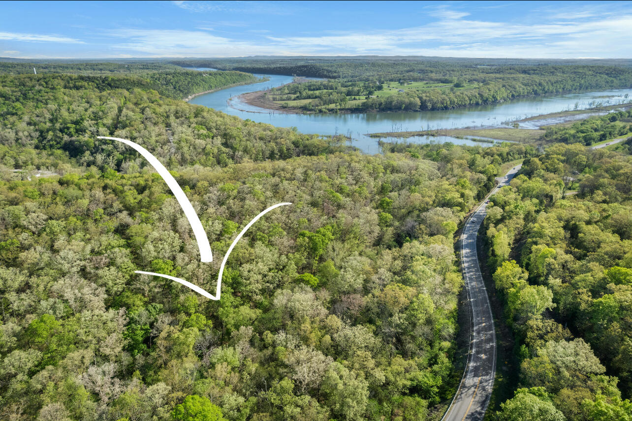 Photo 2 - Land for sale – 000  160 Highway  Forsyth, MO
