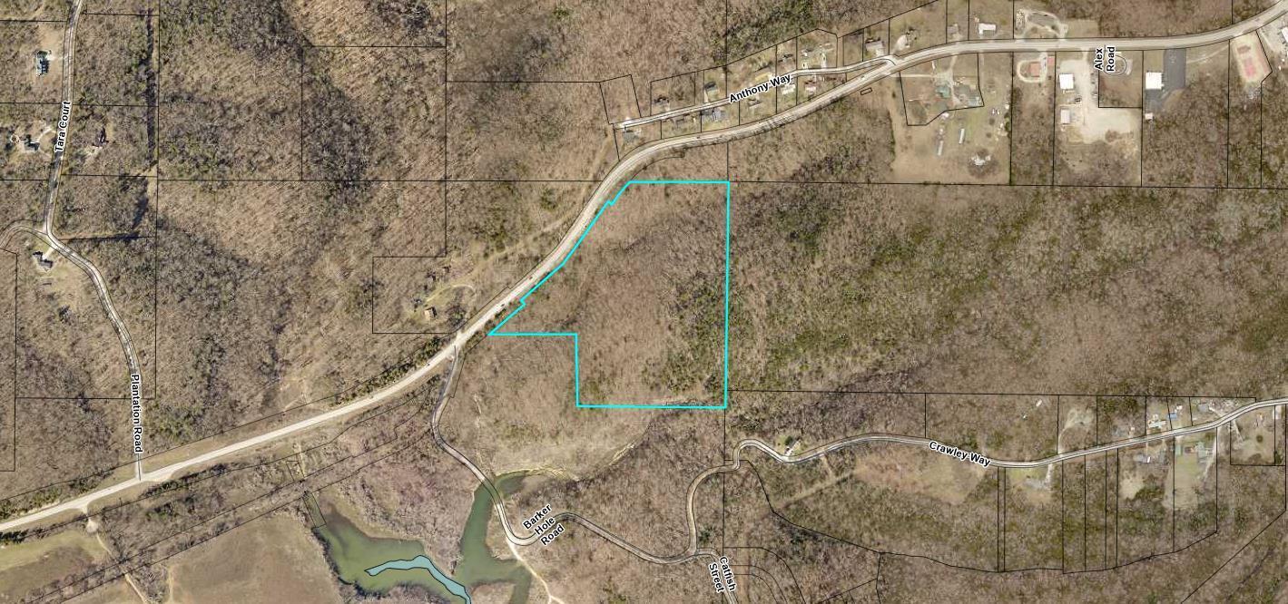 Photo 15 - Land for sale – 000  160 Highway  Forsyth, MO