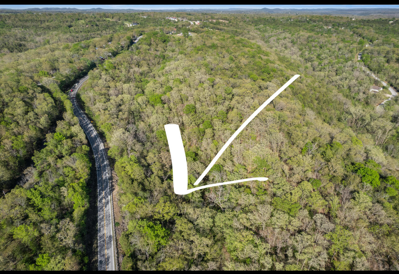 Photo 4 - Land for sale – 000  160 Highway  Forsyth, MO