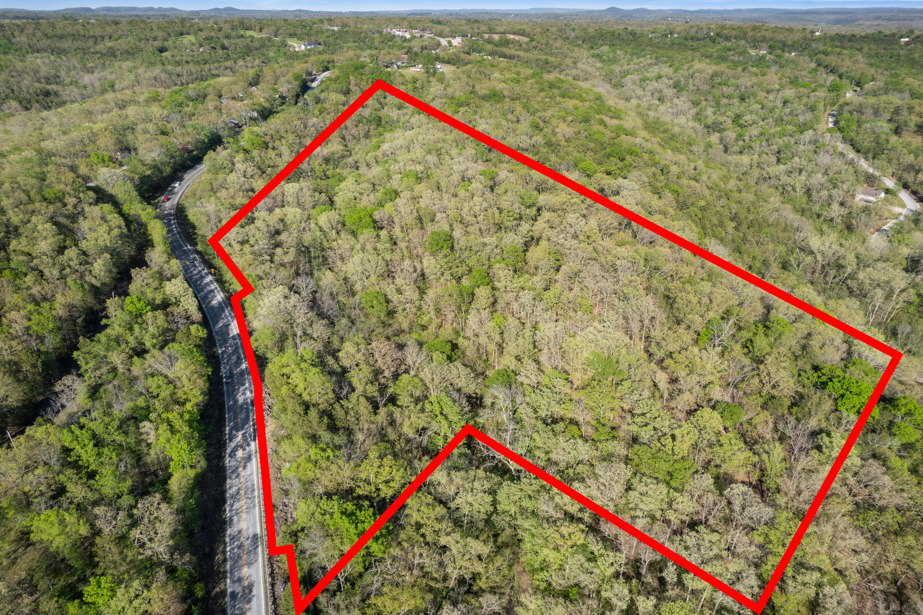 Land for sale – 000  160 Highway  Forsyth, MO