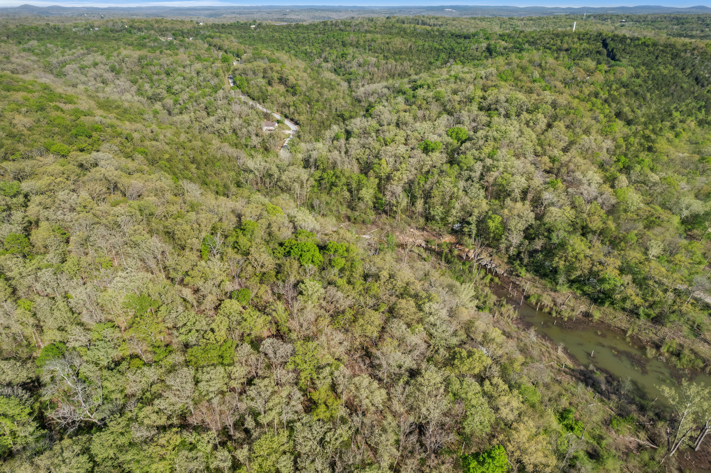 Photo 10 - Land for sale – 000  160 Highway  Forsyth, MO