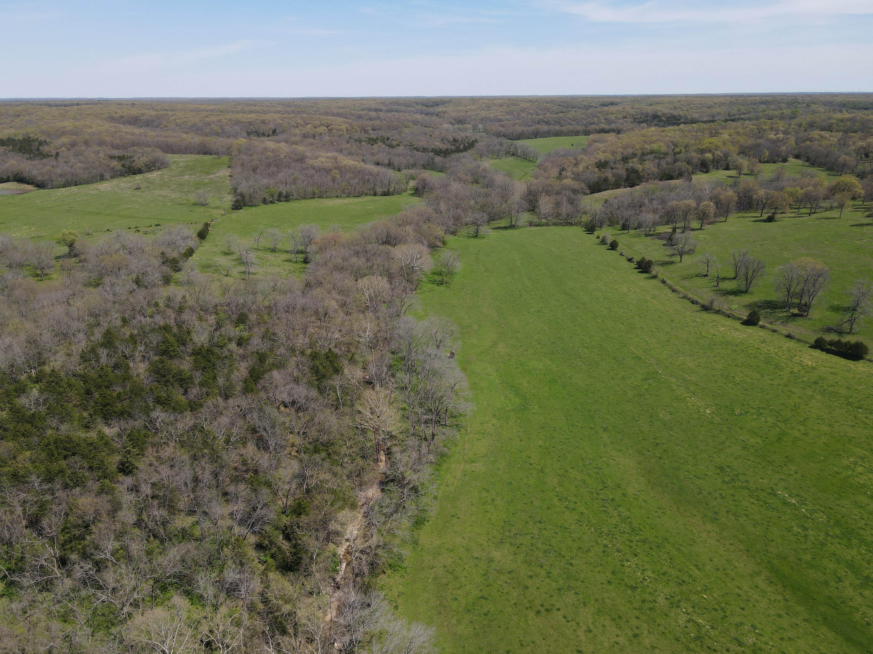 Photo 25 - Farm for sale – 1602 NE 1289 Road  Osceola, MO