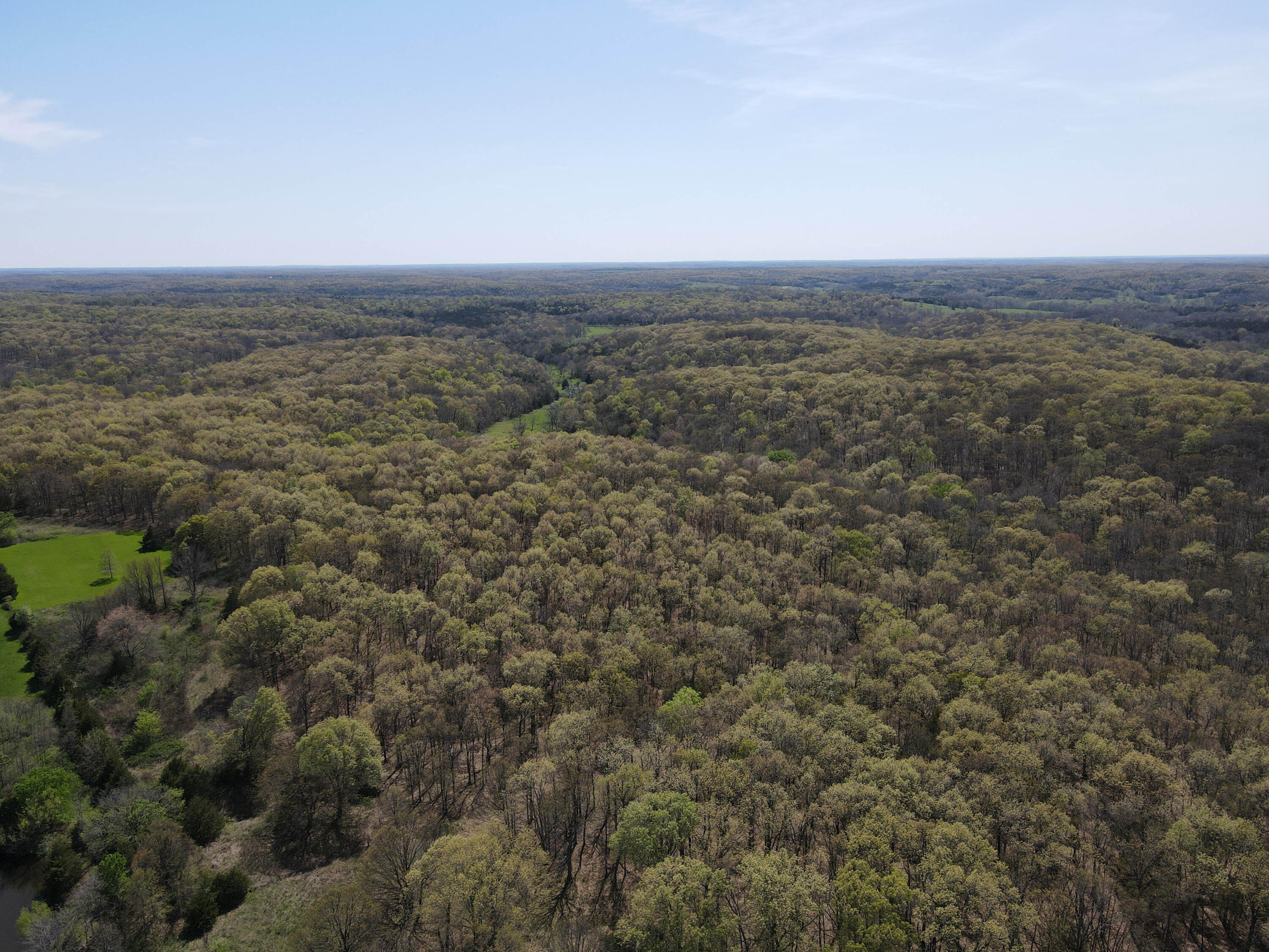 Photo 11 - Farm for sale – 1602 NE 1289 Road  Osceola, MO