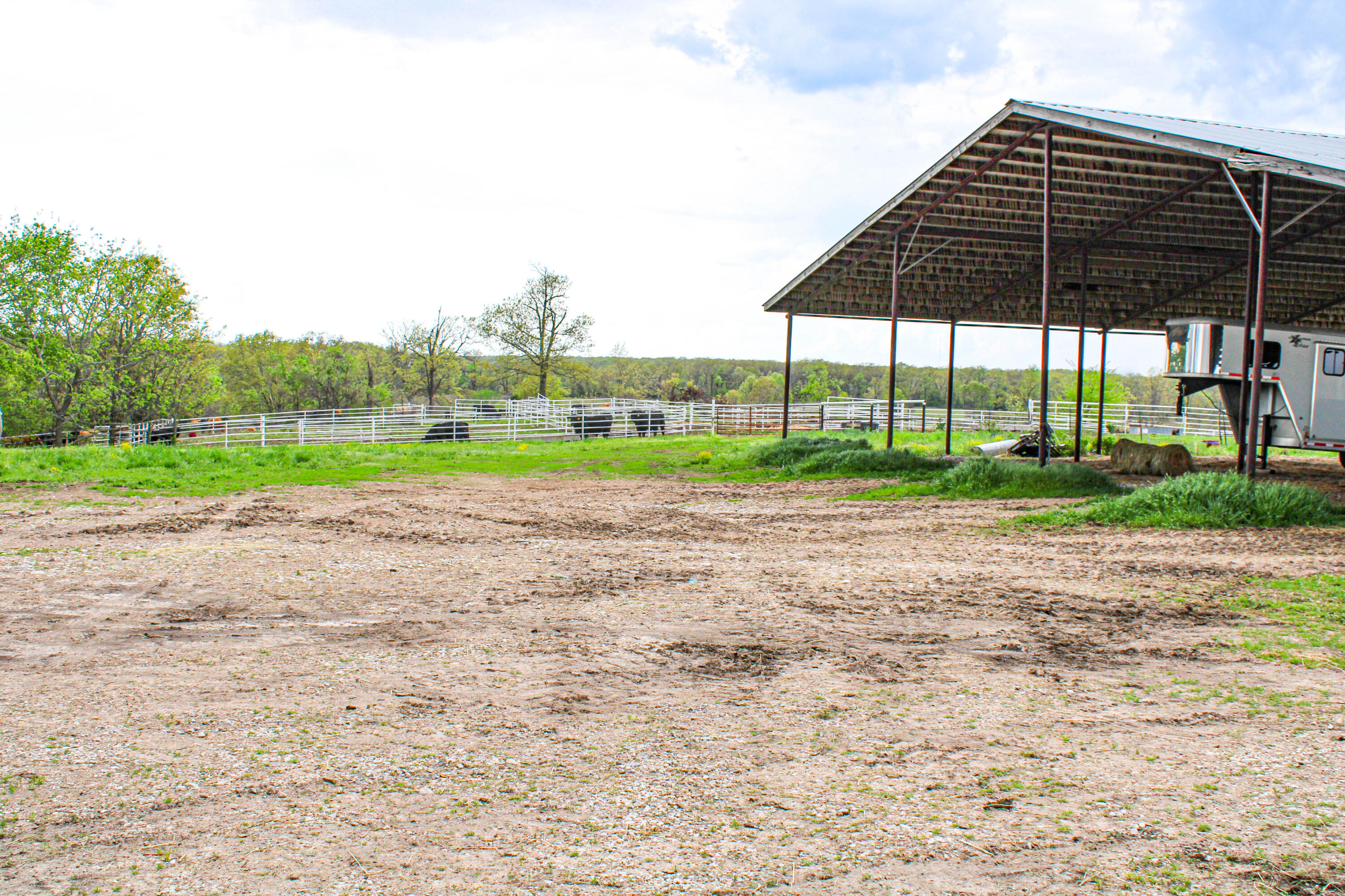 Photo 74 - Farm for sale – 1602 NE 1289 Road  Osceola, MO