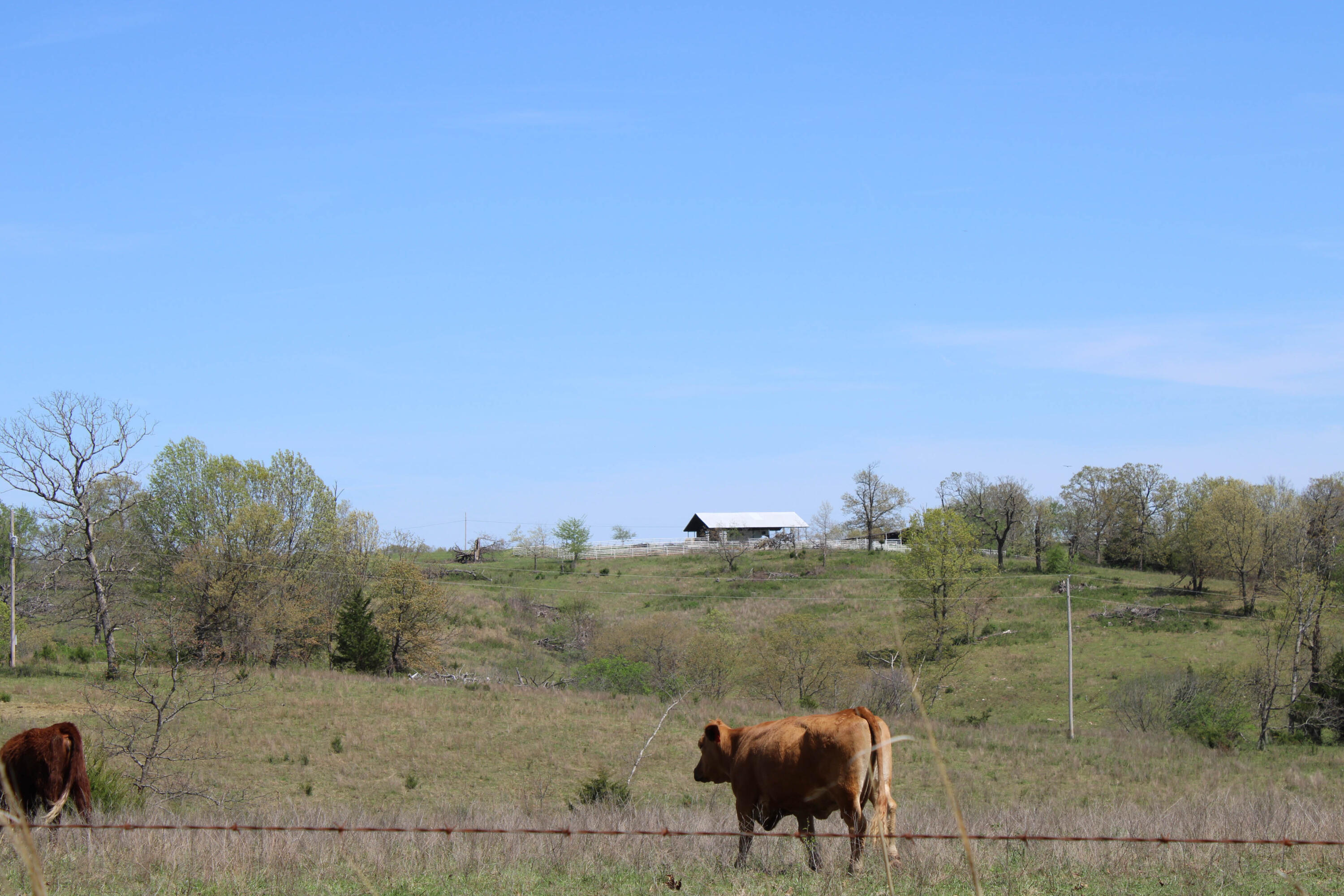 Photo 64 - Farm for sale – 1602 NE 1289 Road  Osceola, MO