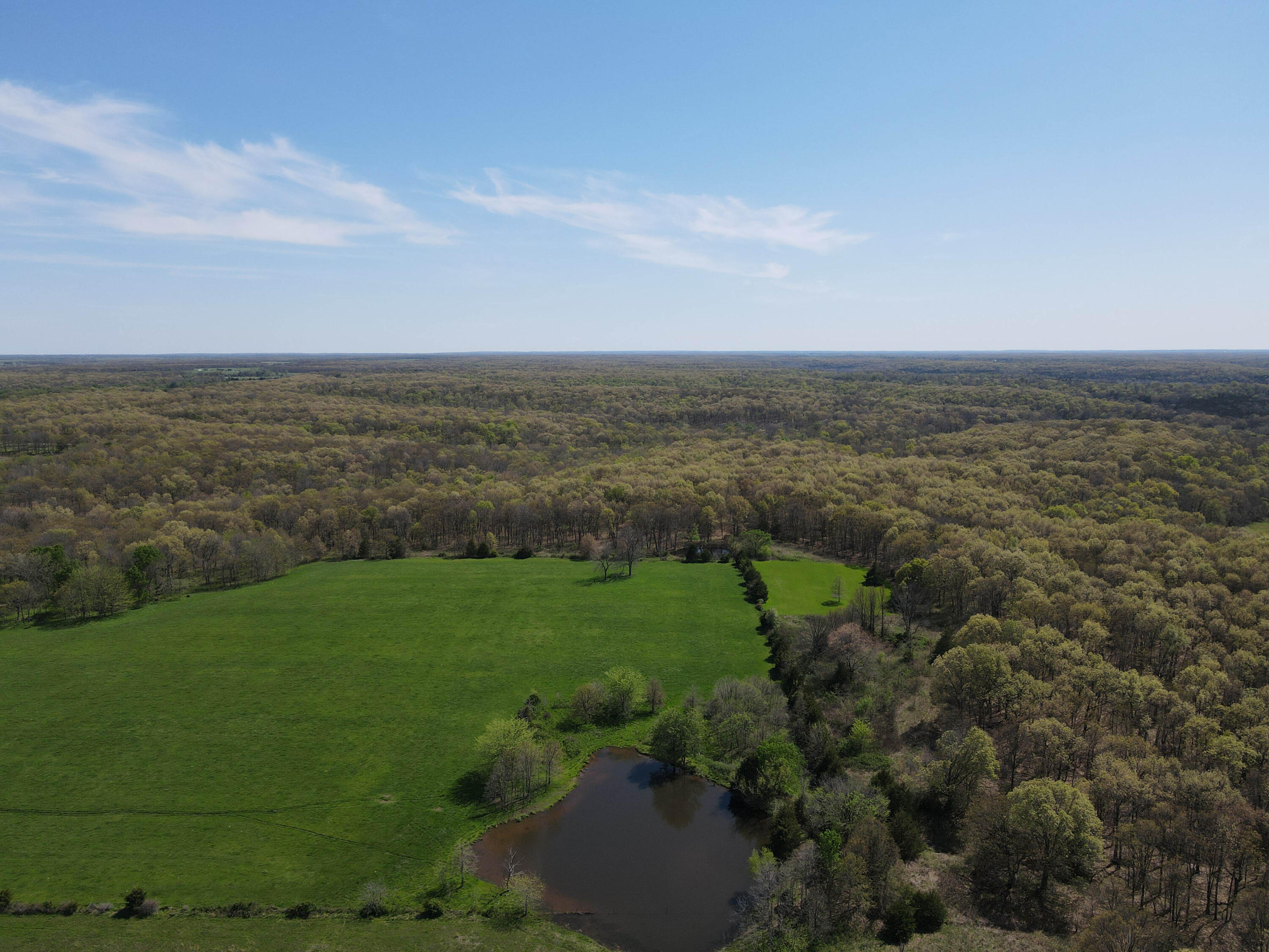 Photo 10 - Farm for sale – 1602 NE 1289 Road  Osceola, MO